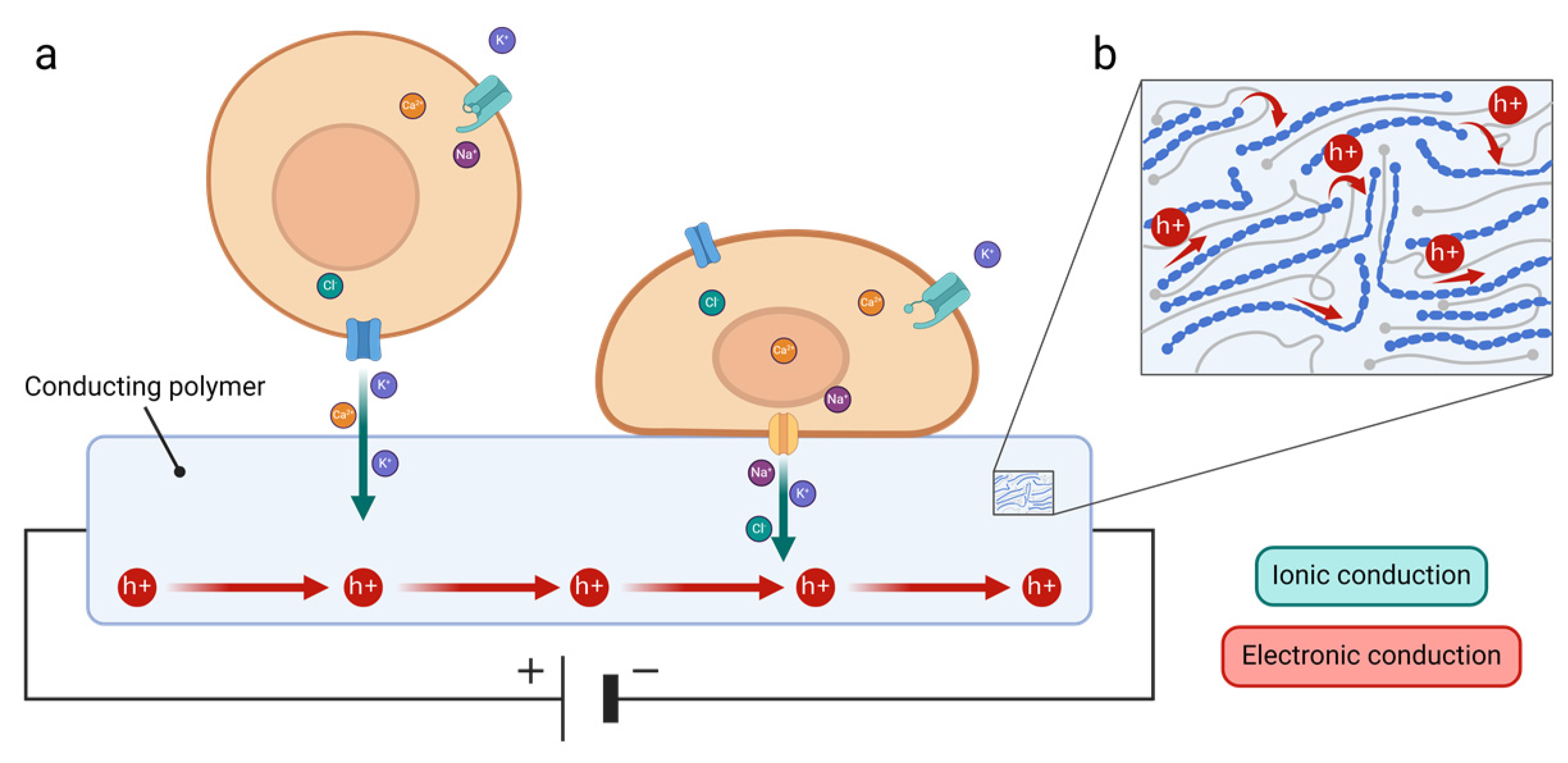 Biosensors 15 00253 g001