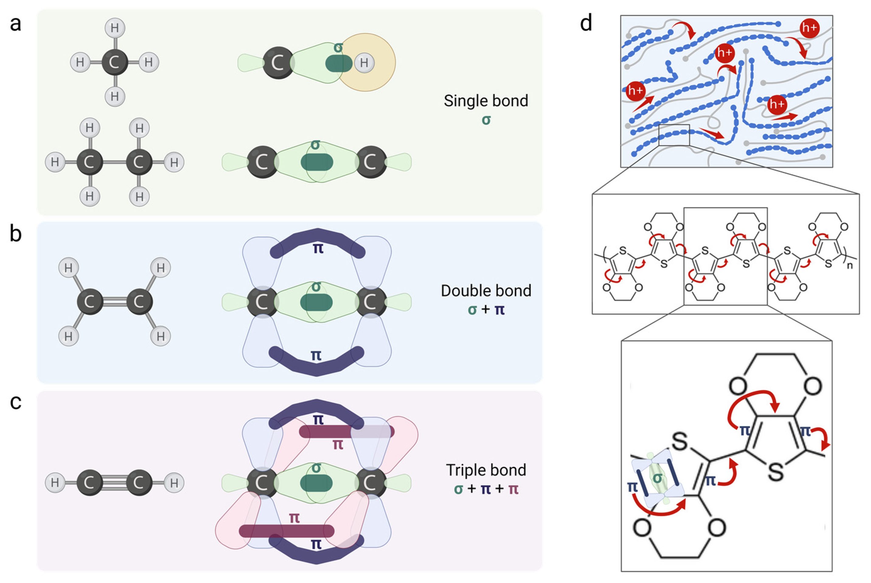 Biosensors 15 00253 g003