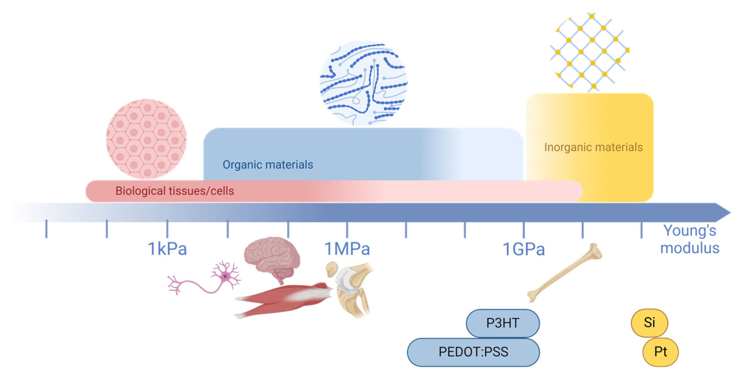 Biosensors 15 00253 g005