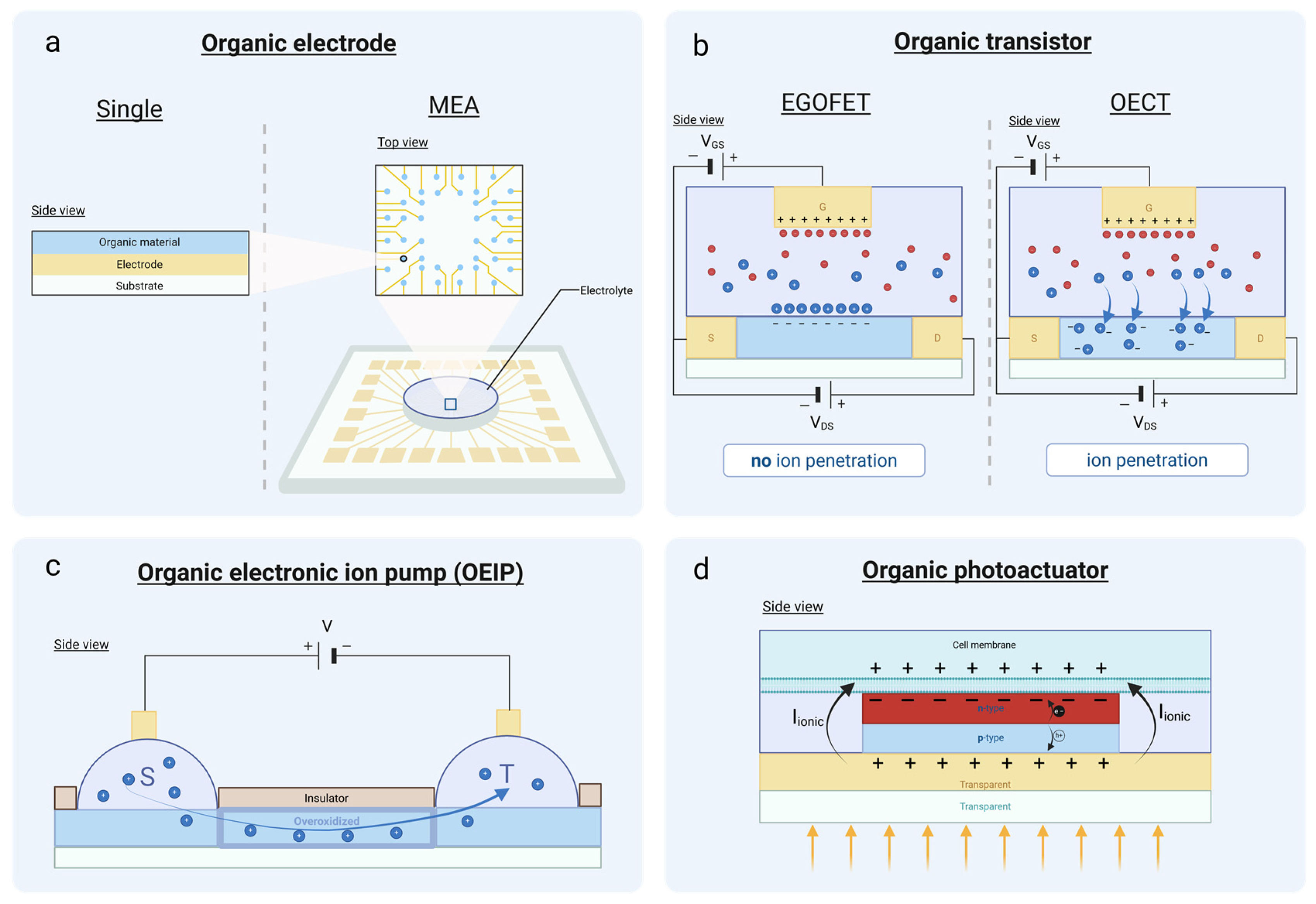 Biosensors 15 00253 g006