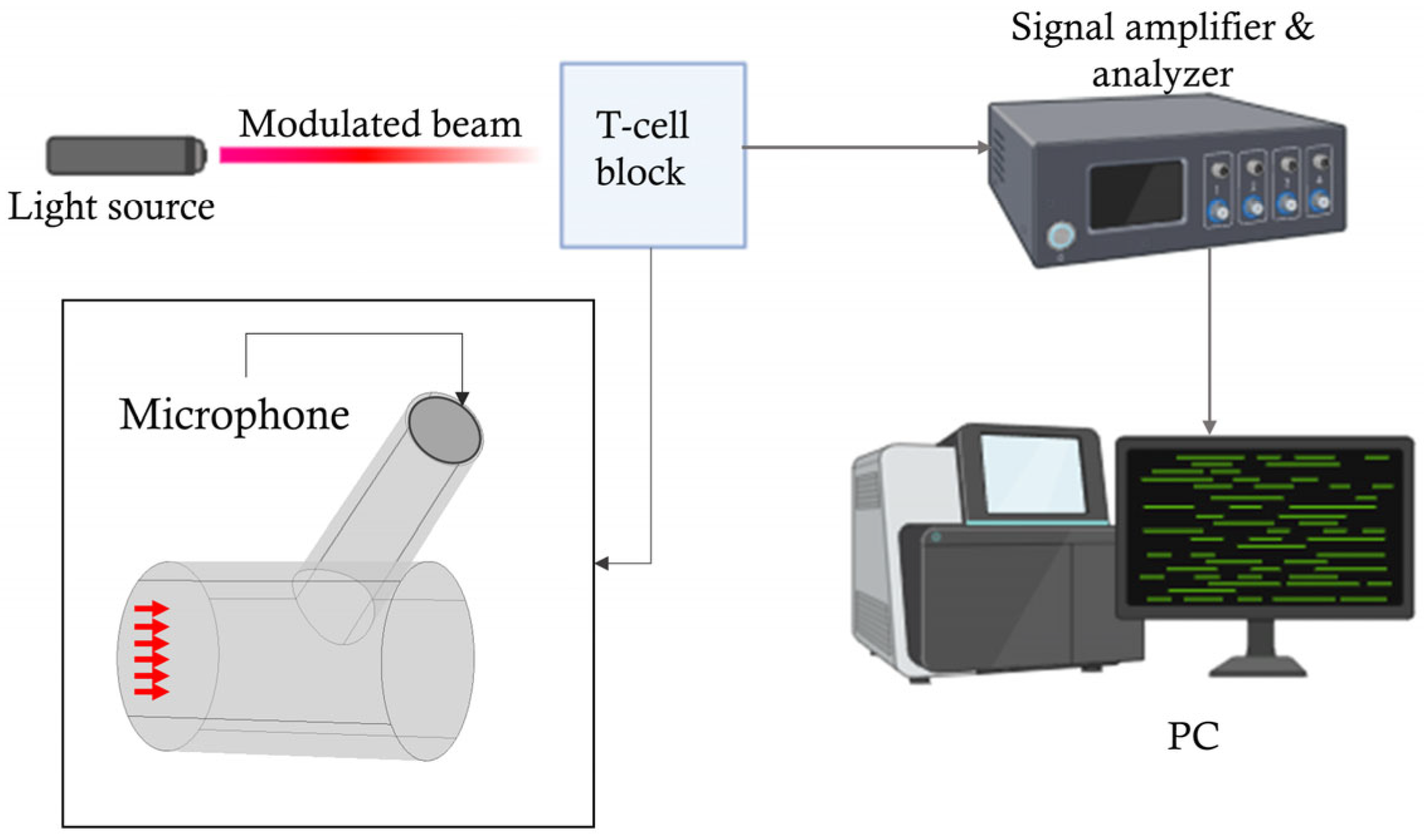 Biosensors 15 00254 g001