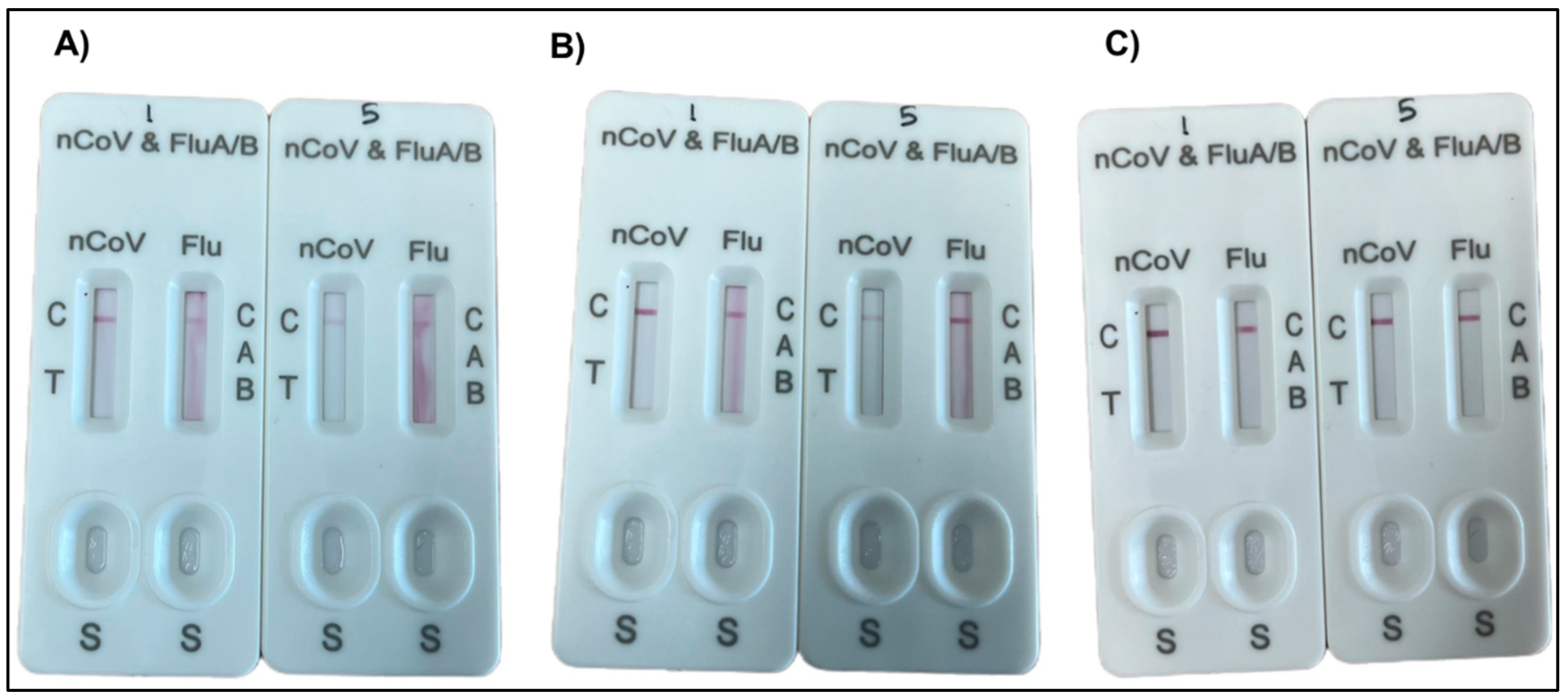 Biosensors 15 00256 g010
