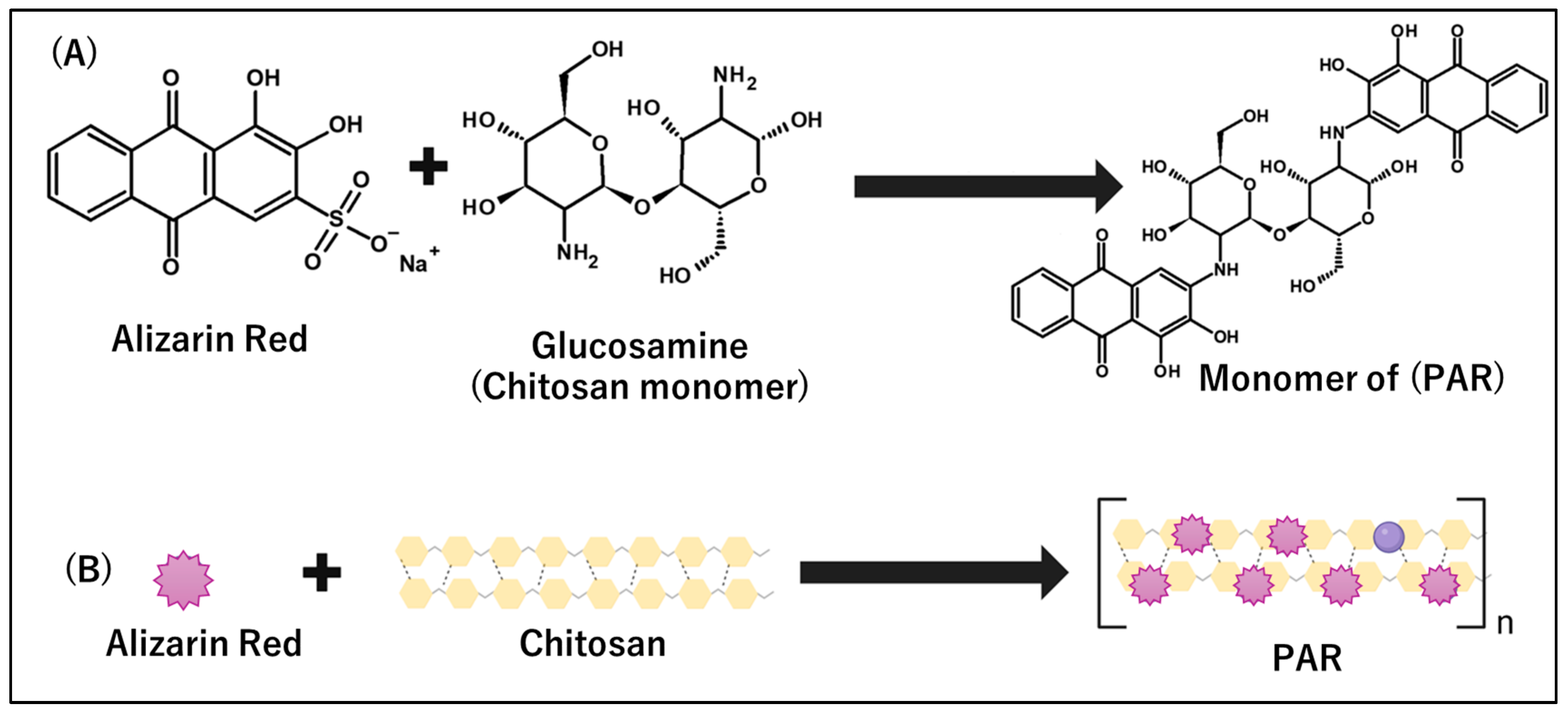 Biosensors 15 00256 sch002