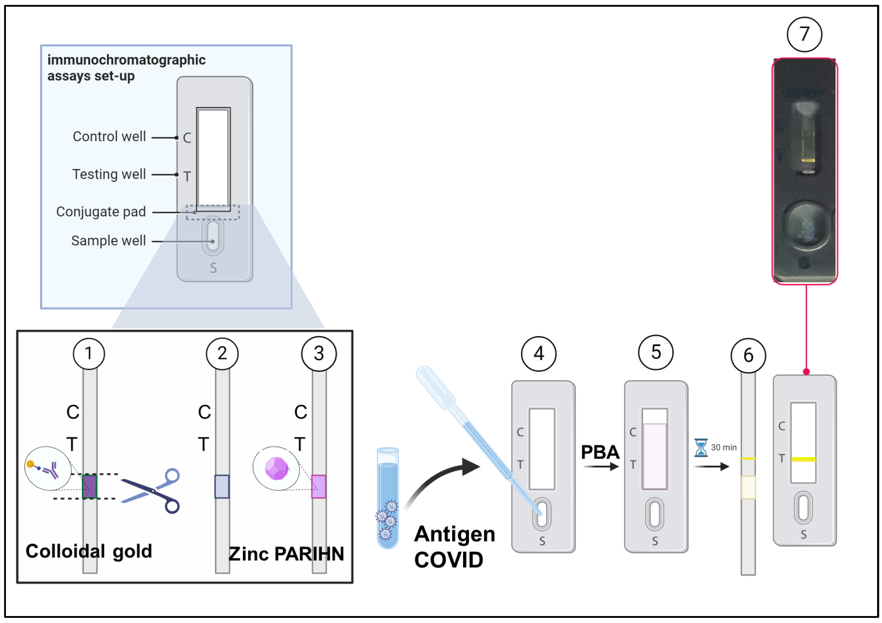 Biosensors 15 00256 sch004