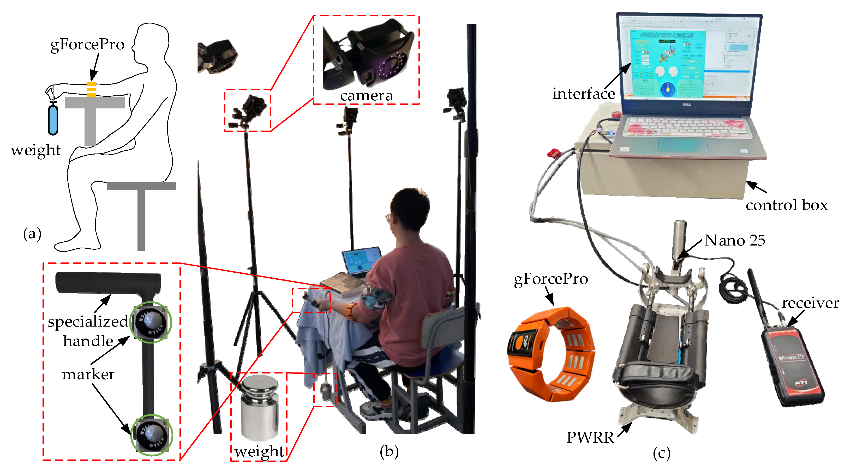 Biosensors 15 00259 g004
