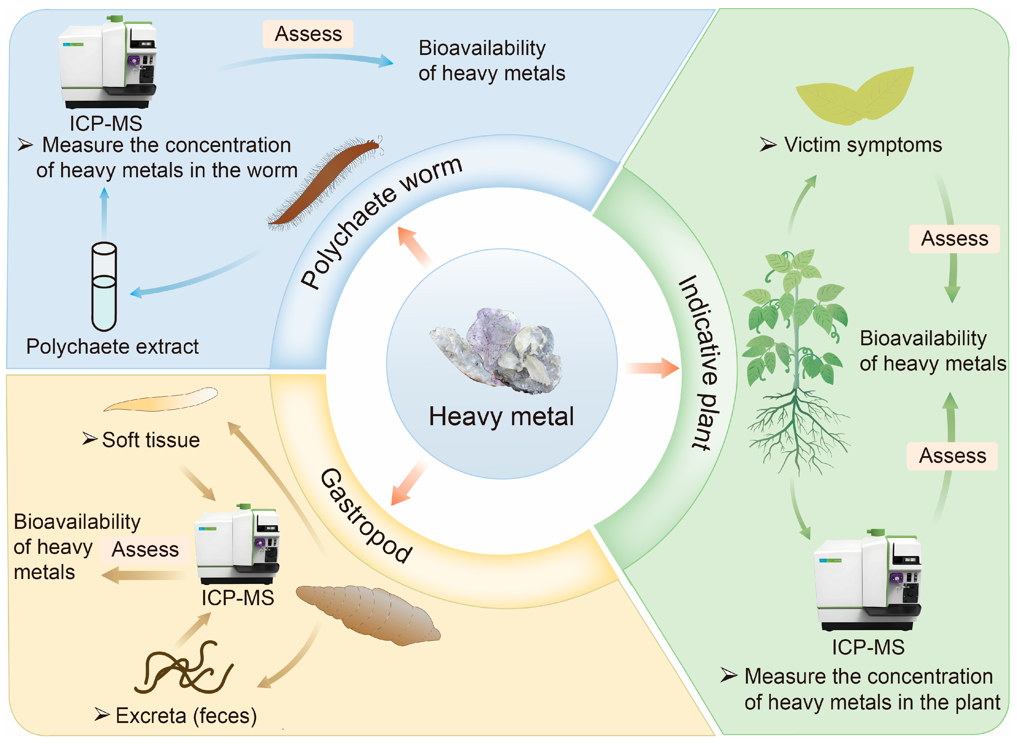 Biosensors 15 00260 g001
