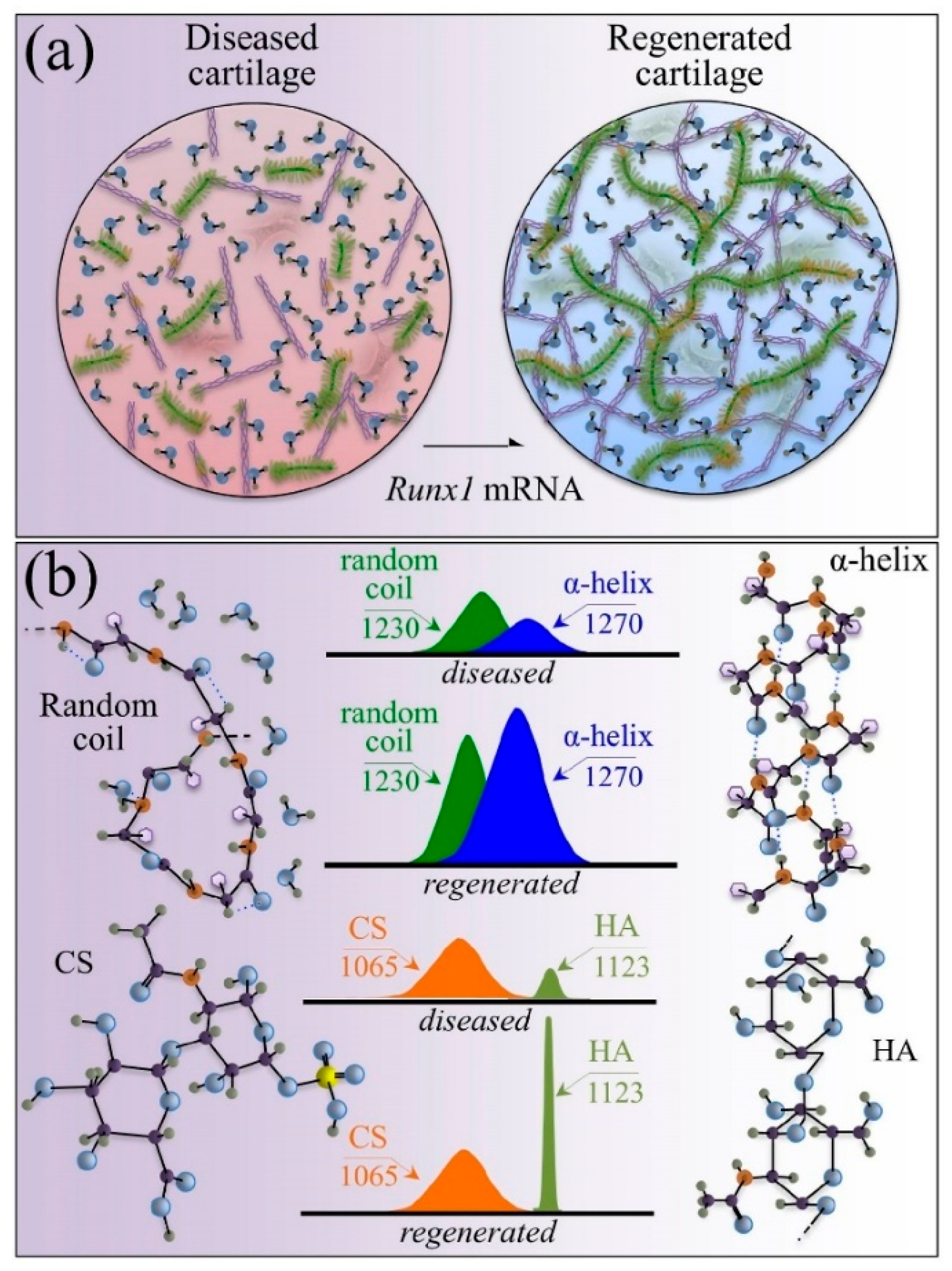 Biosensors 15 00265 g003