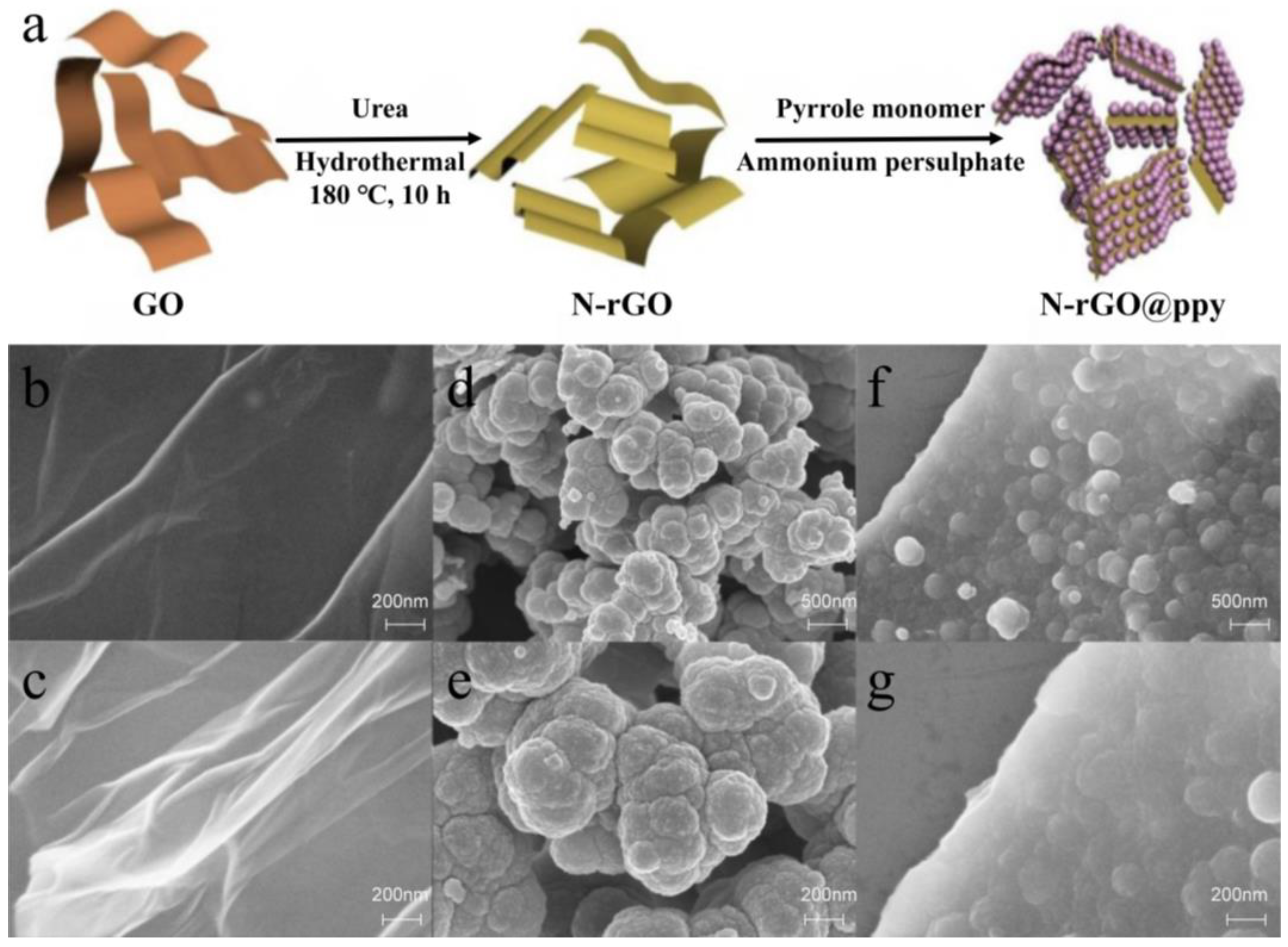 Biosensors 15 00267 g001