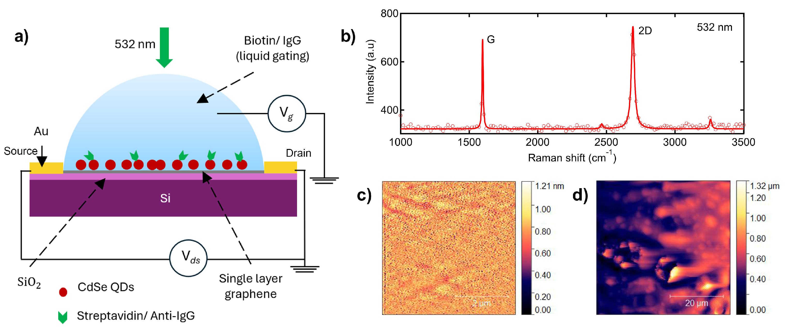 Biosensors 15 00269 g001