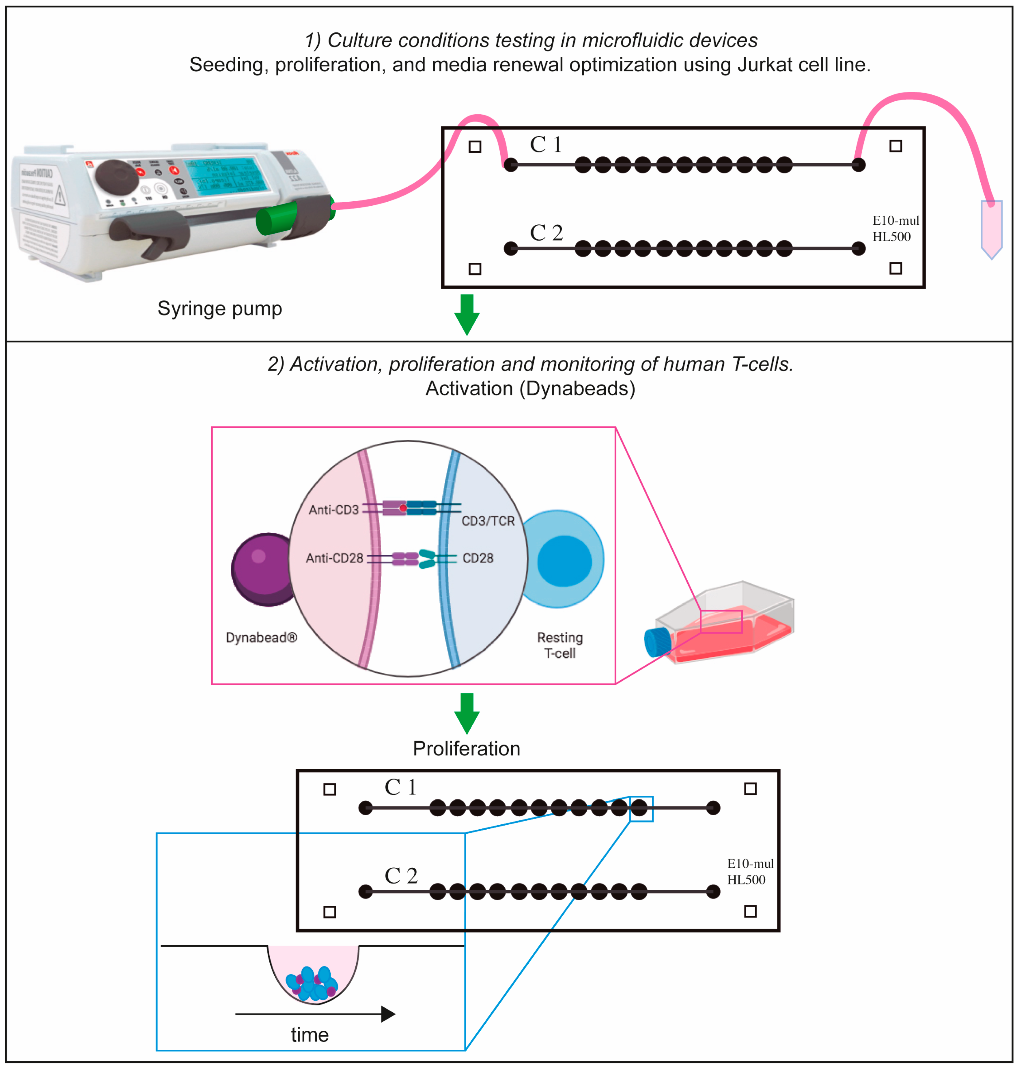 Biosensors 15 00270 g003
