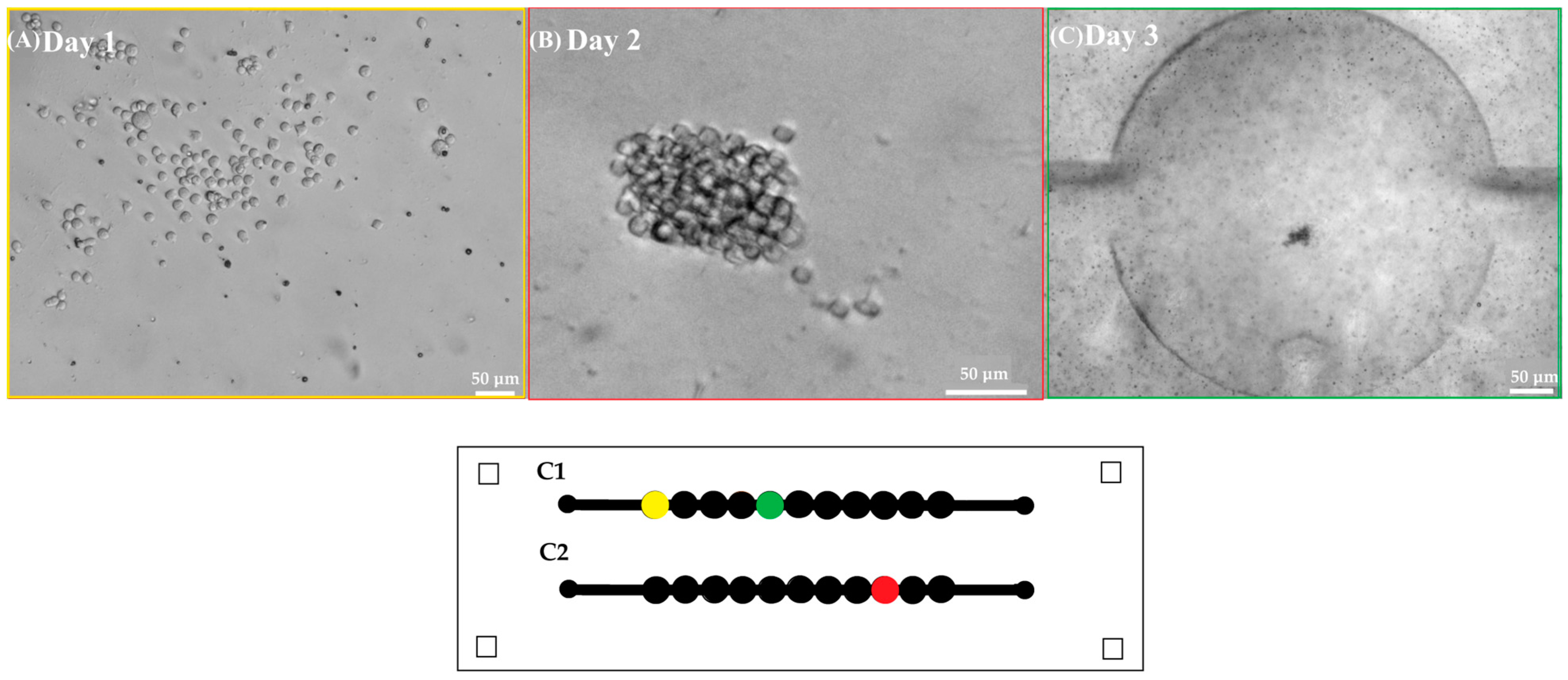 Biosensors 15 00270 g004