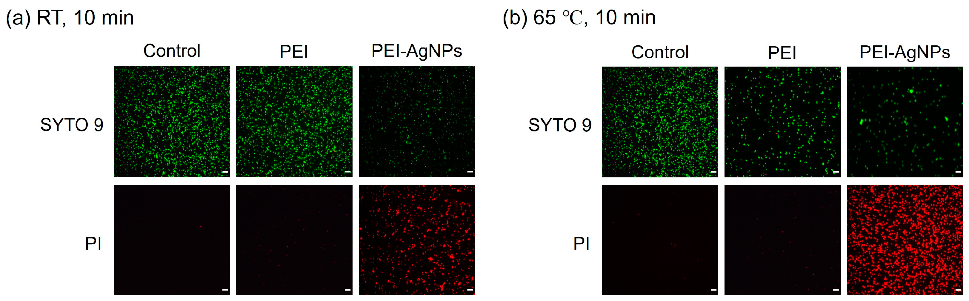 Biosensors 15 00271 g004
