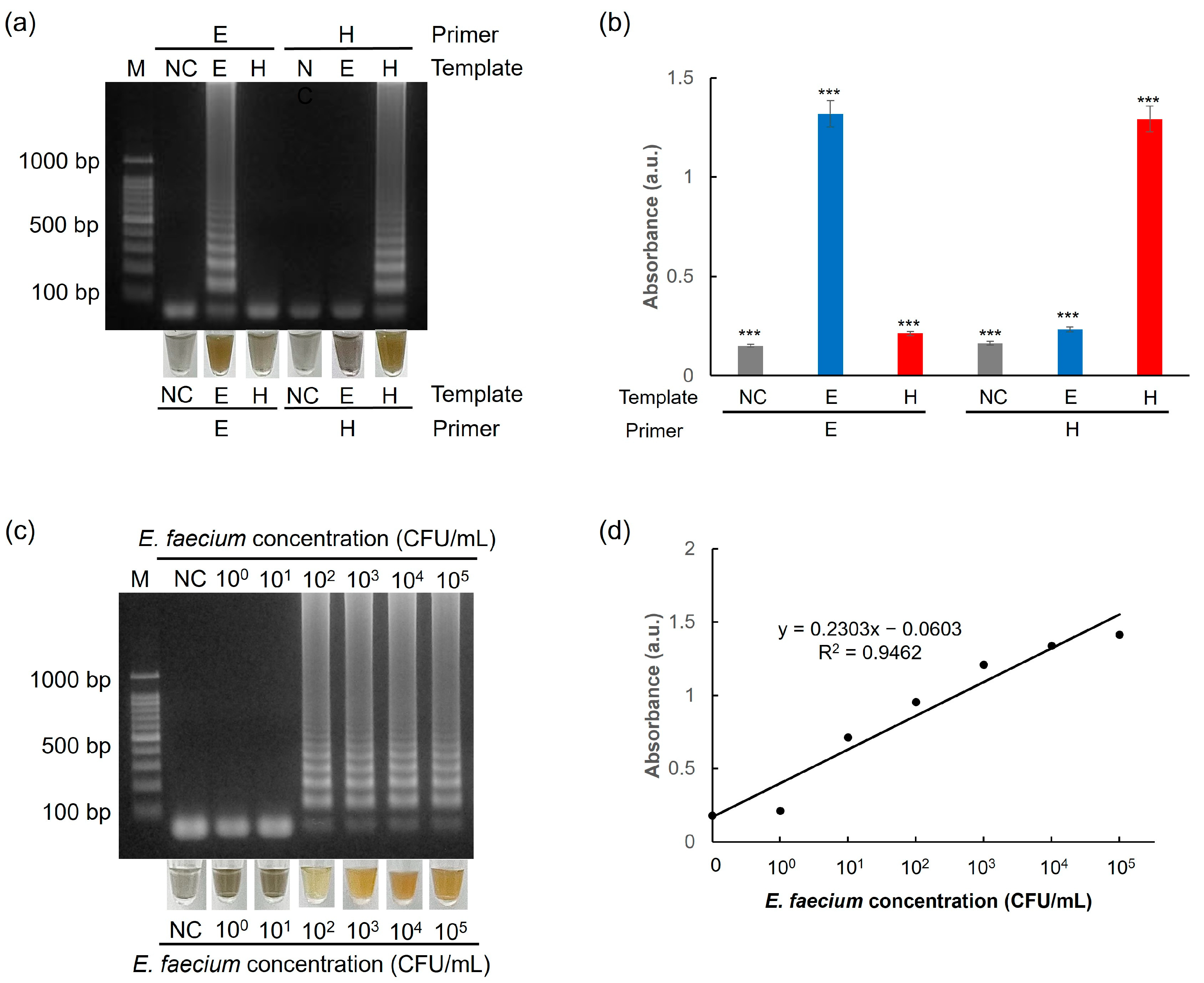 Biosensors 15 00271 g009