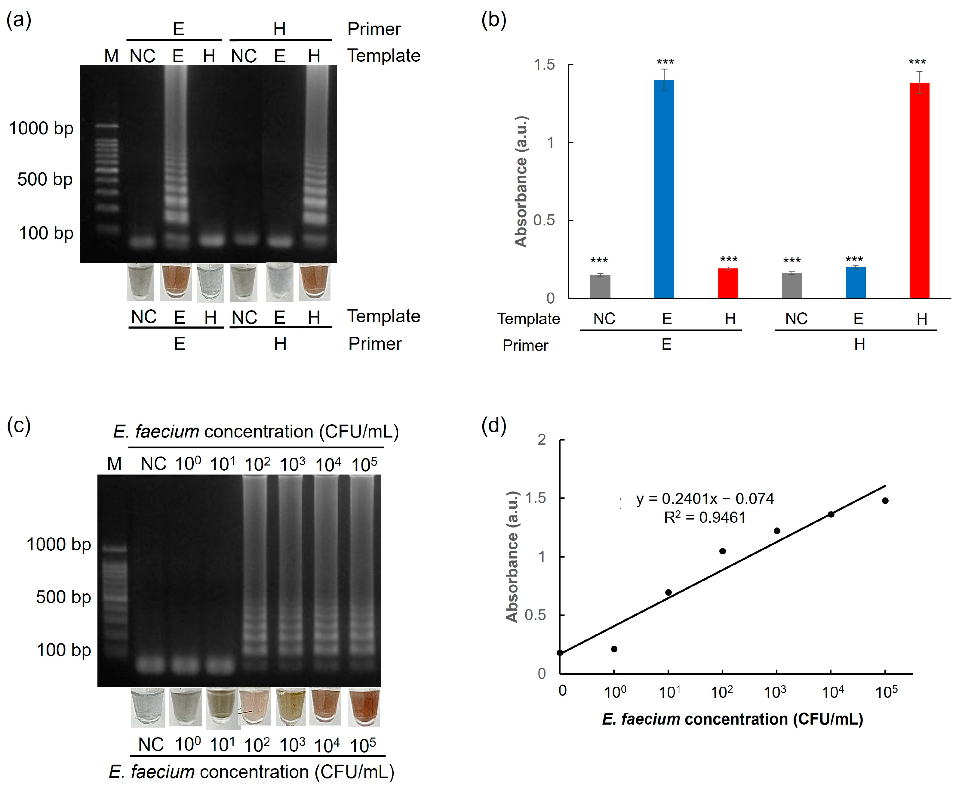 Biosensors 15 00271 g010