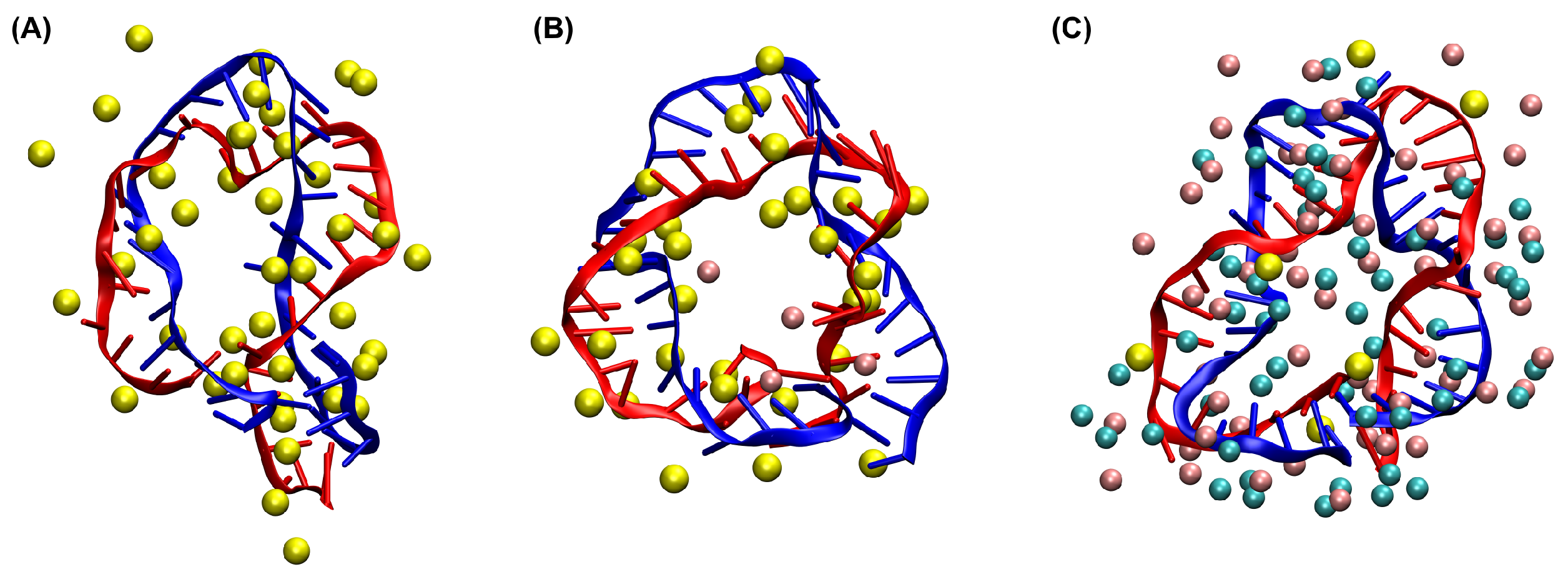Biosensors 15 00272 g004