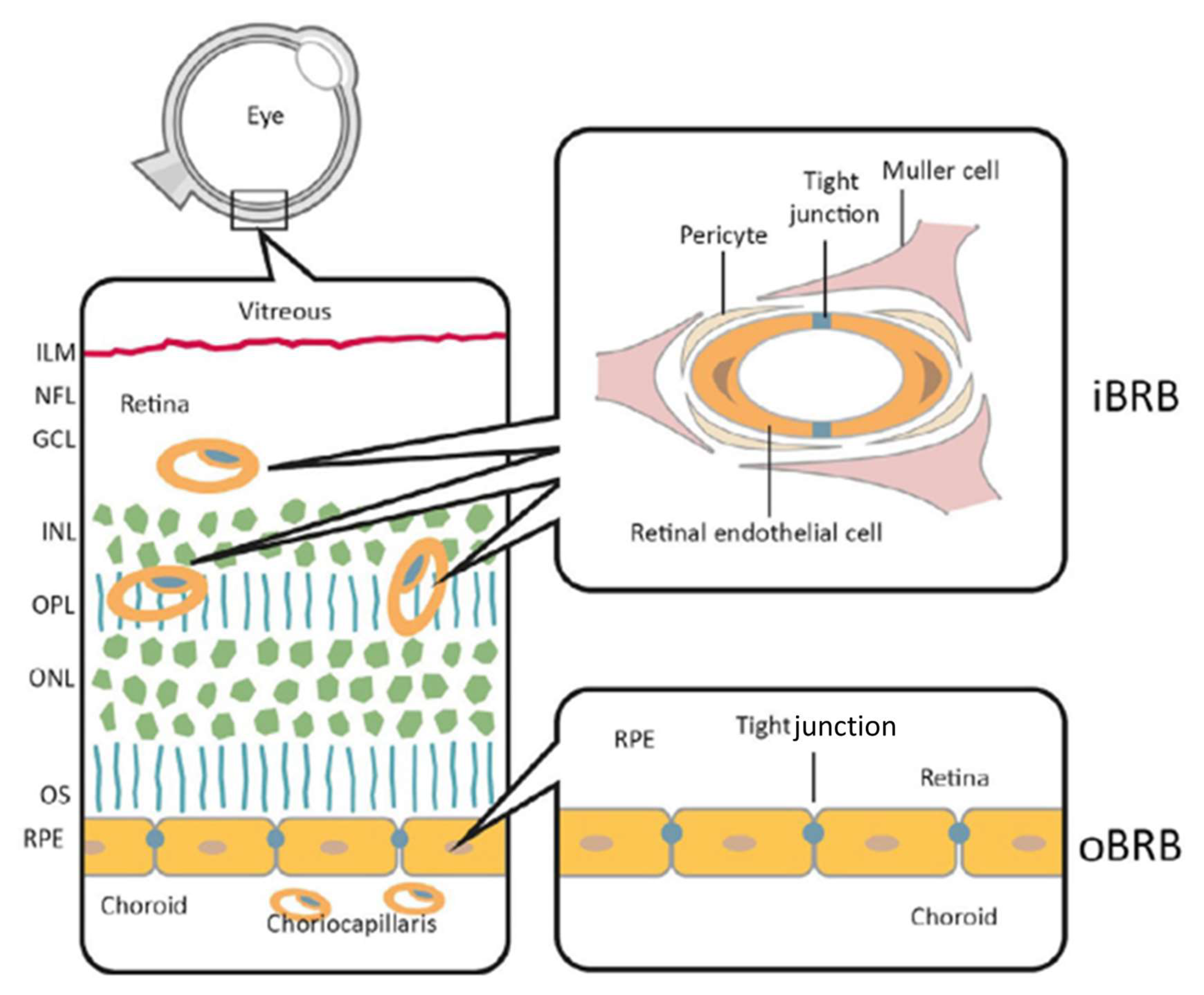 Biosensors 15 00338 g003