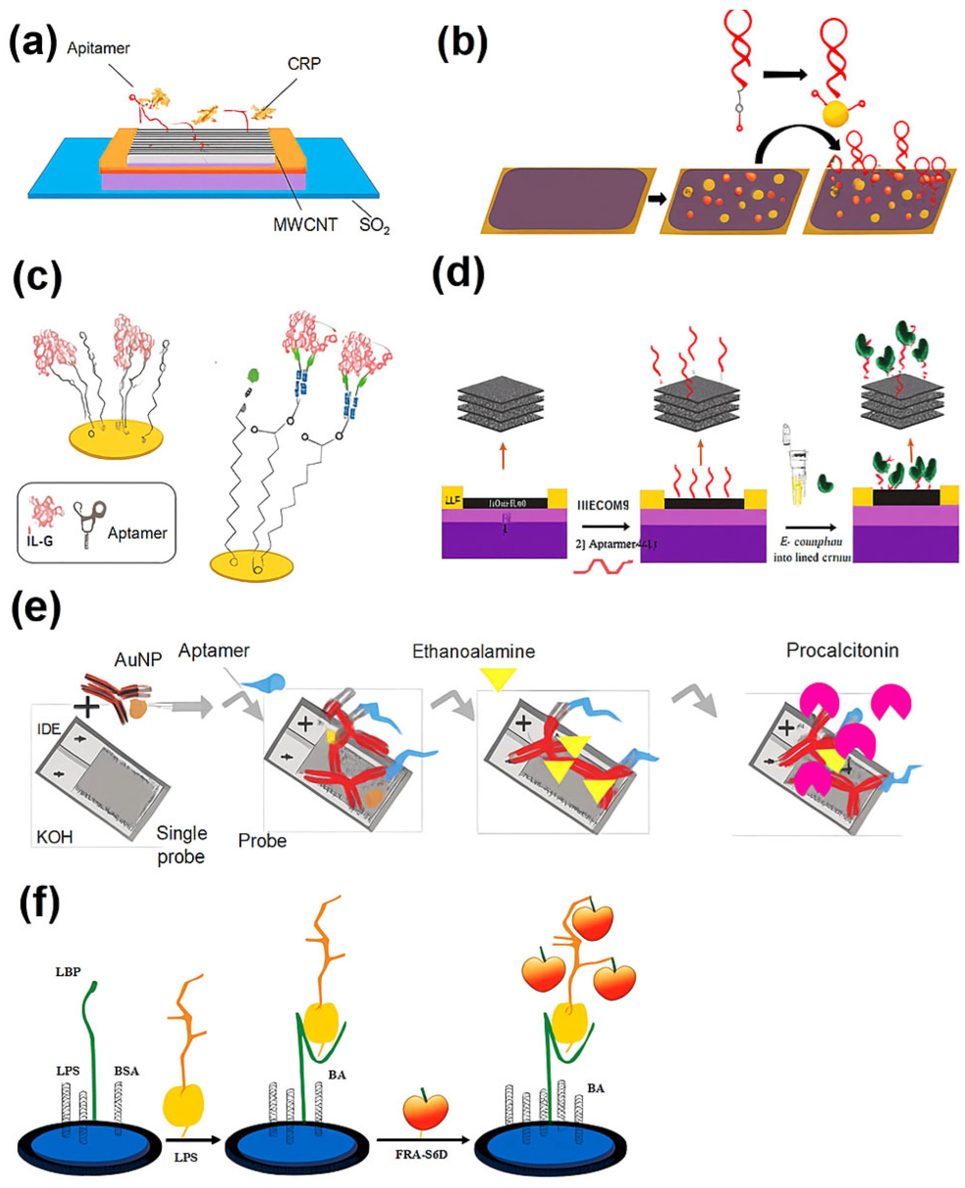 Biosensors 15 00402 g003