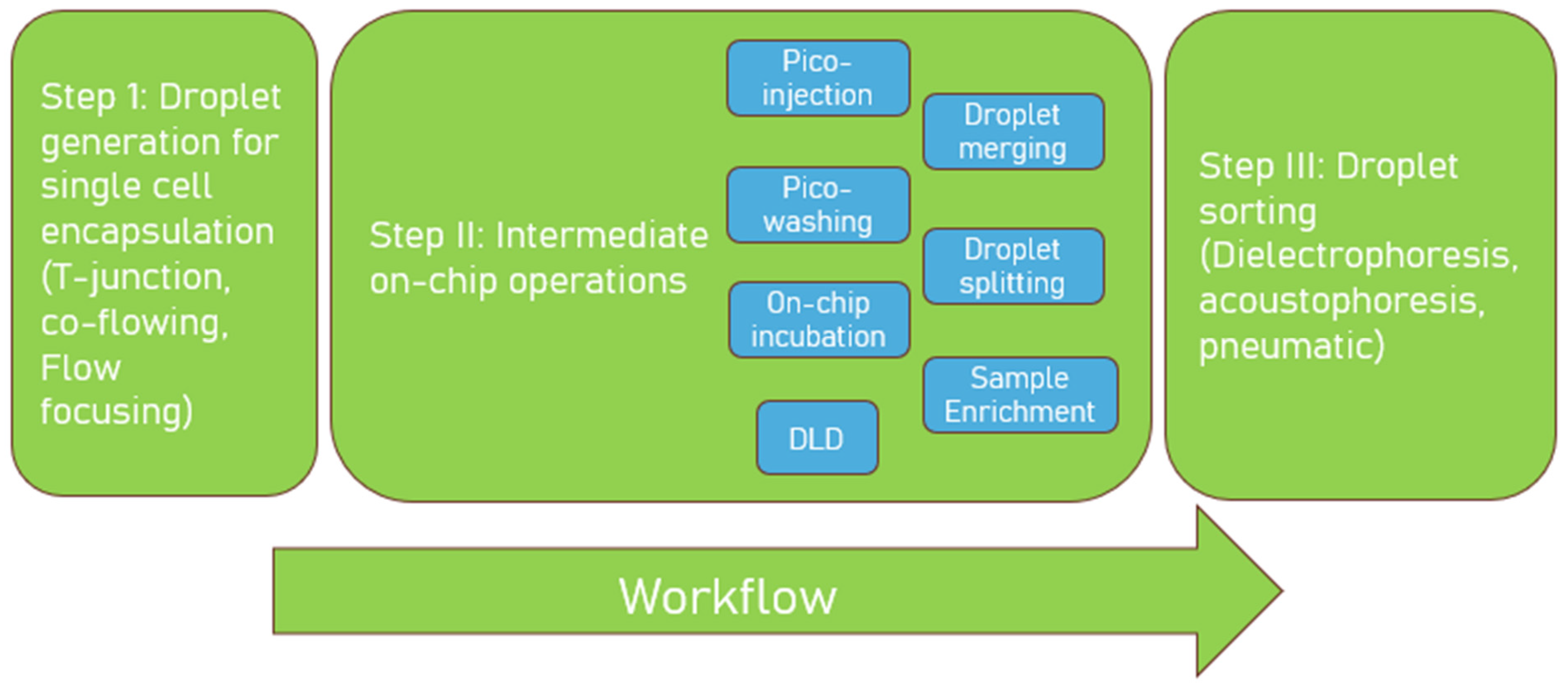 Biosensors 15 00409 g001