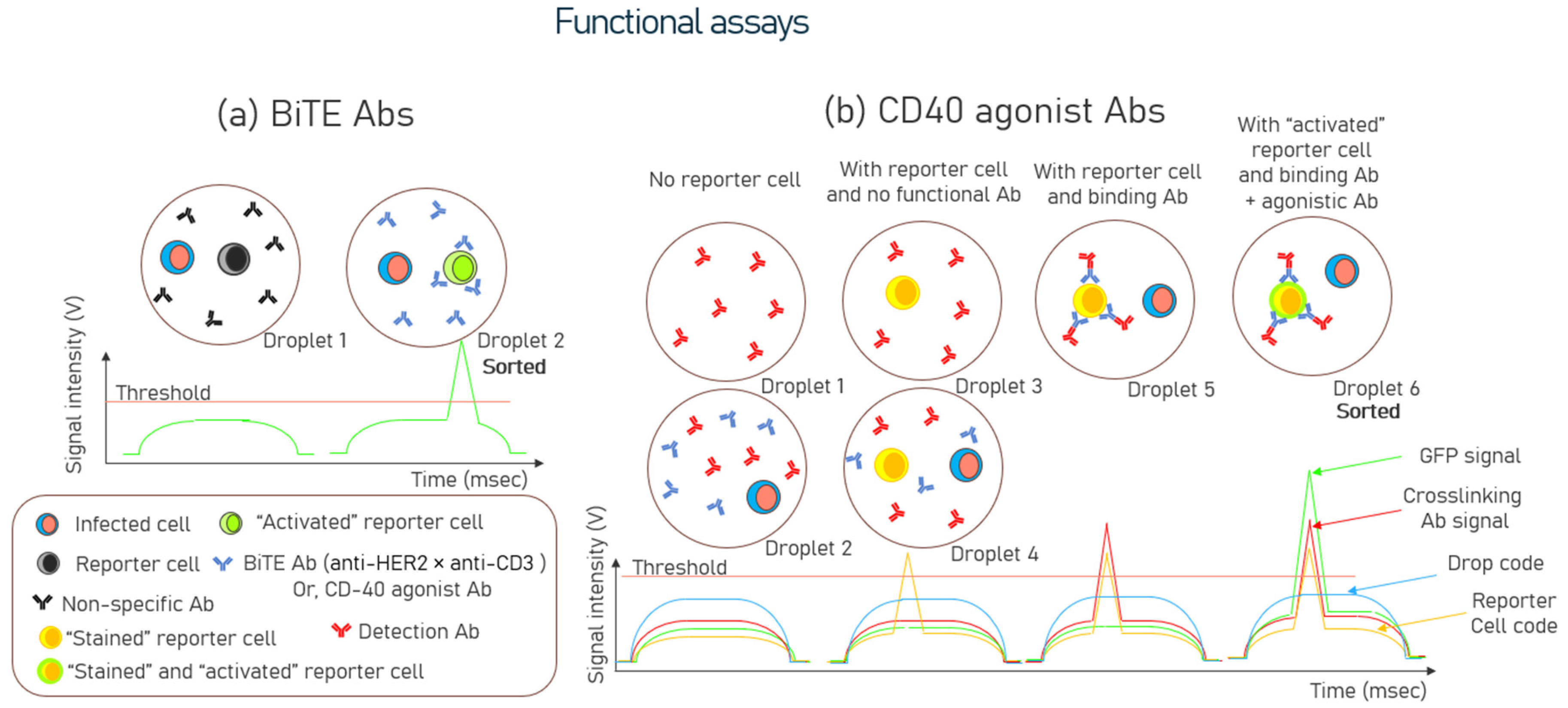 Biosensors 15 00409 g004