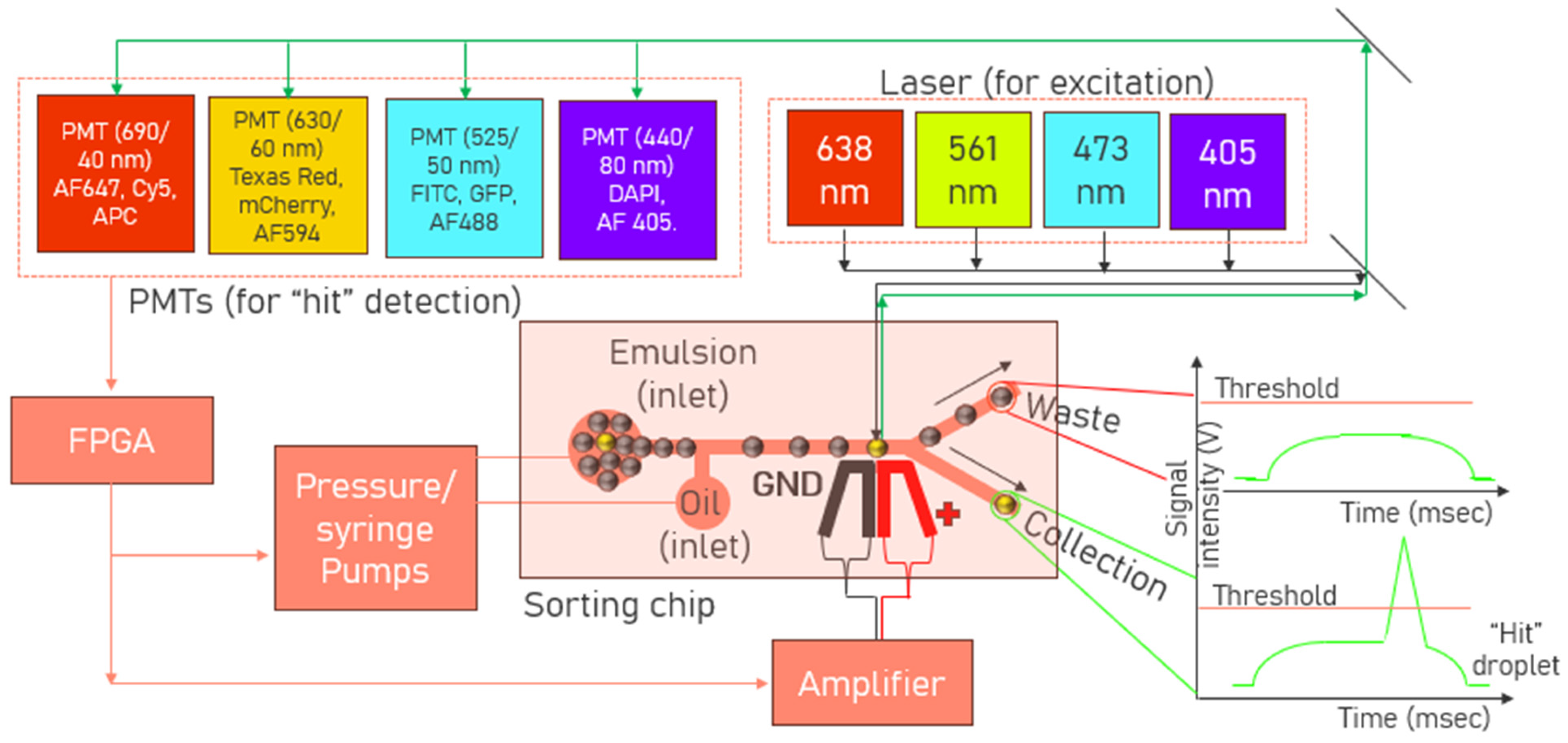 Biosensors 15 00409 g007