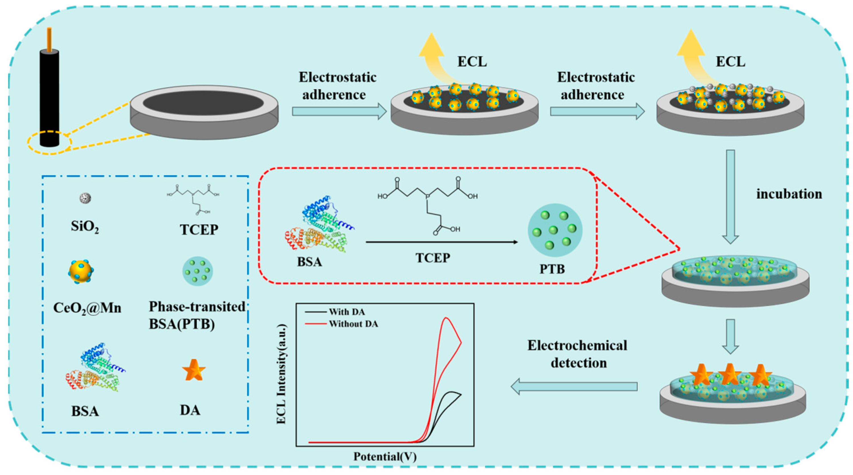 Biosensors 15 00411 g001