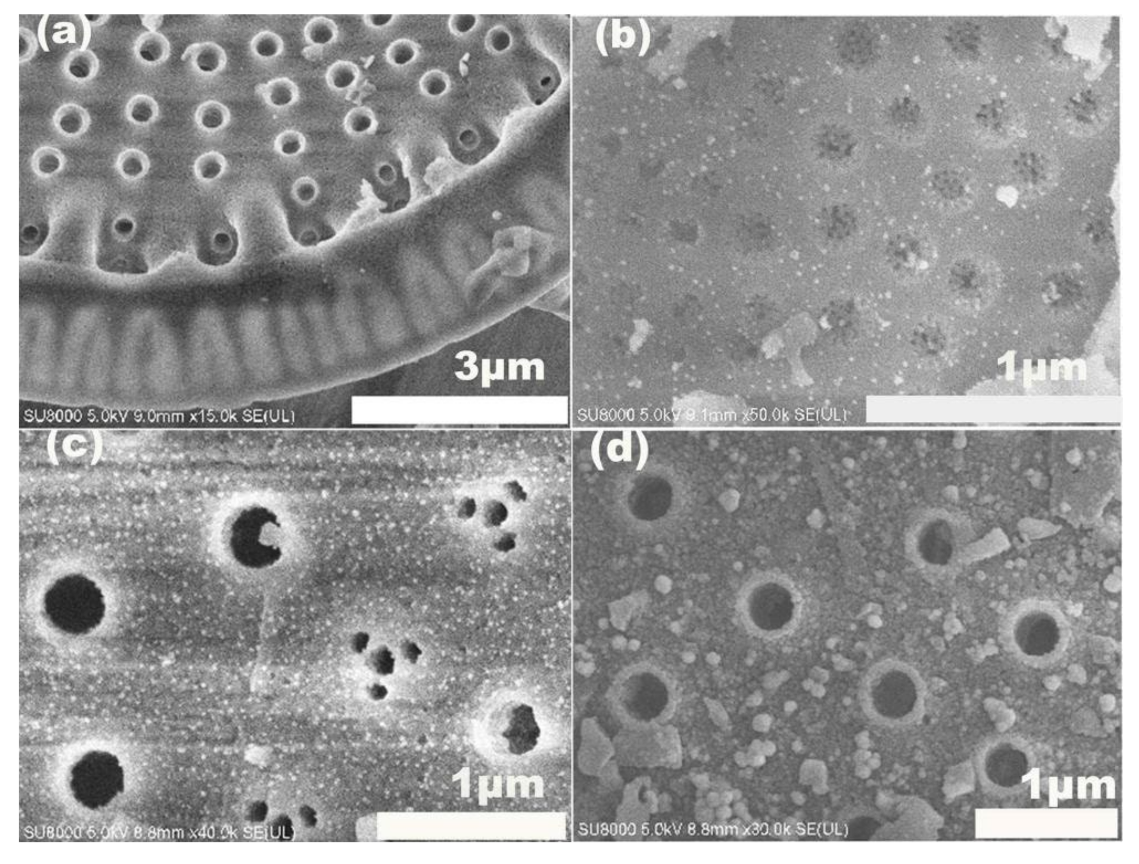 Biosensors 15 00477 g004