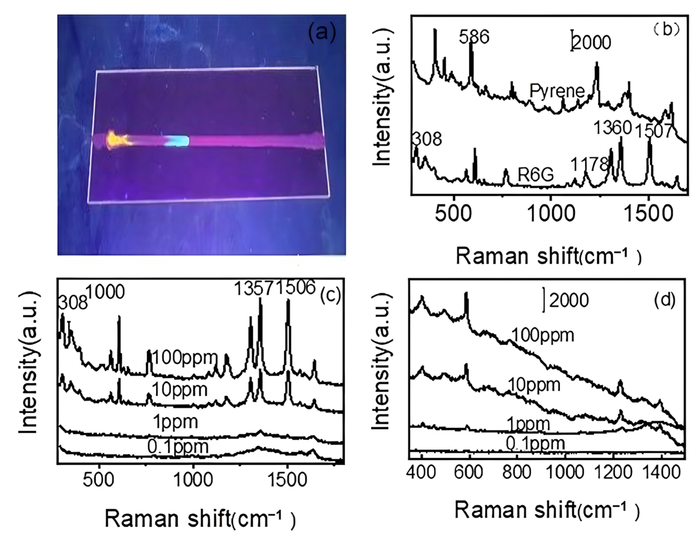 Biosensors 15 00477 g006