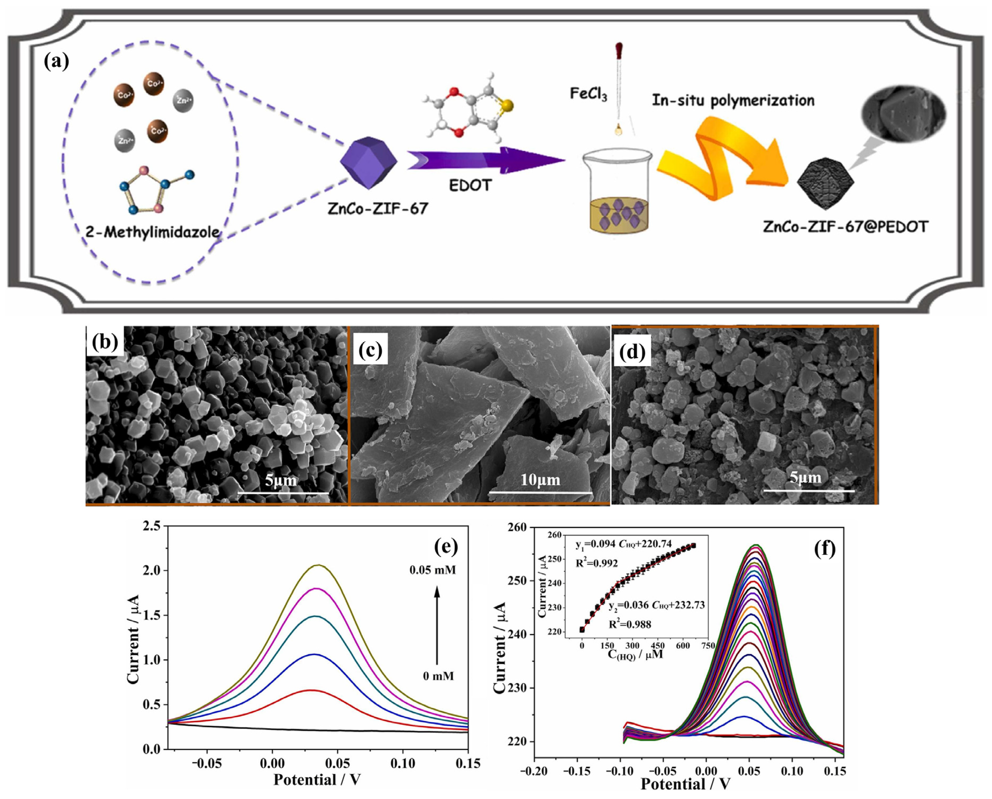 Biosensors 15 00488 g007