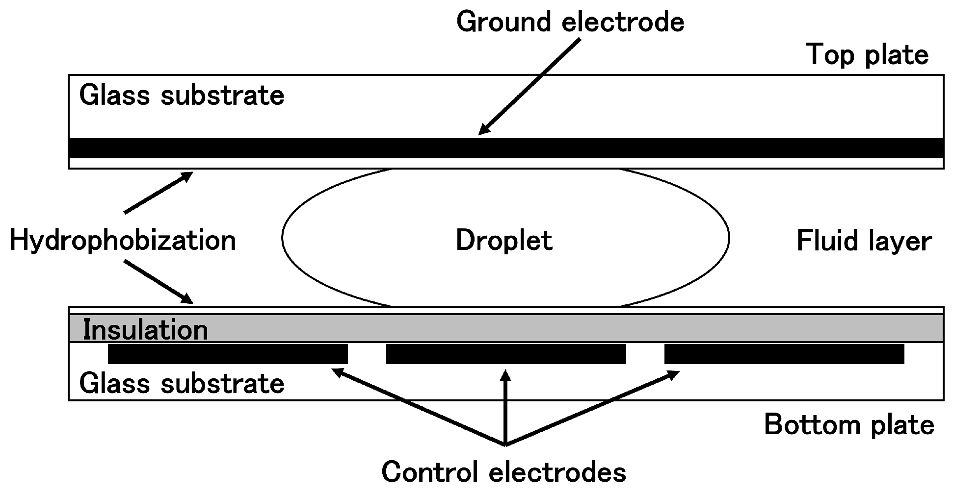 Biosensors 15 00500 g001