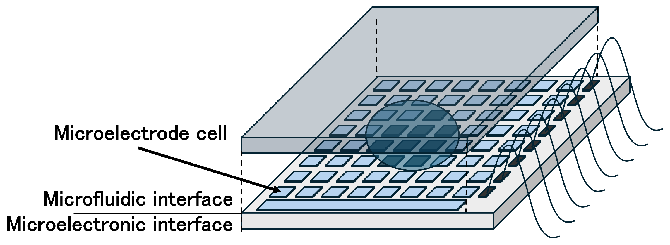 Biosensors 15 00500 g002