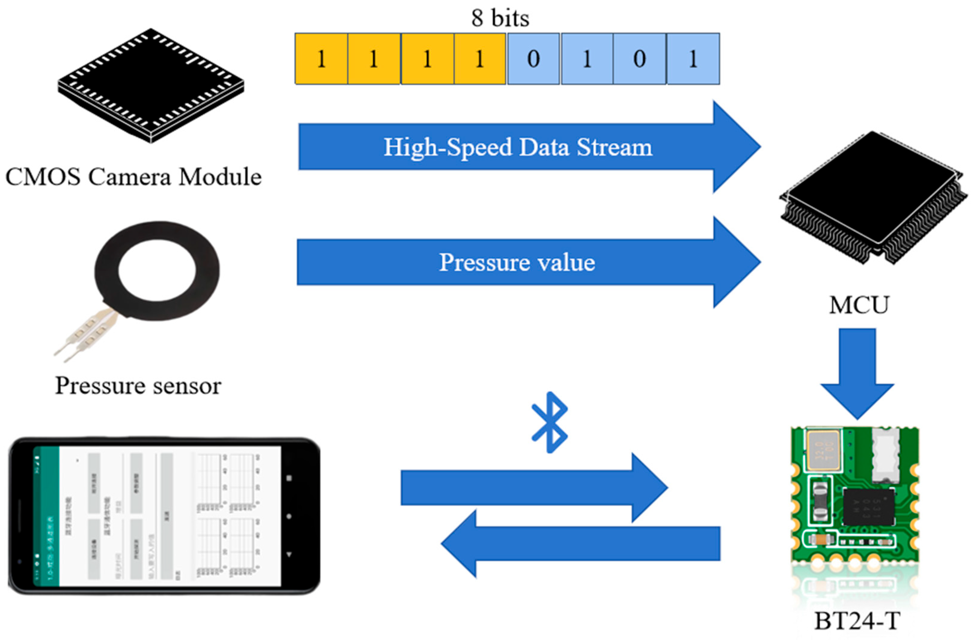 Biosensors 15 00501 g003 Biosensors 15 00501 g003