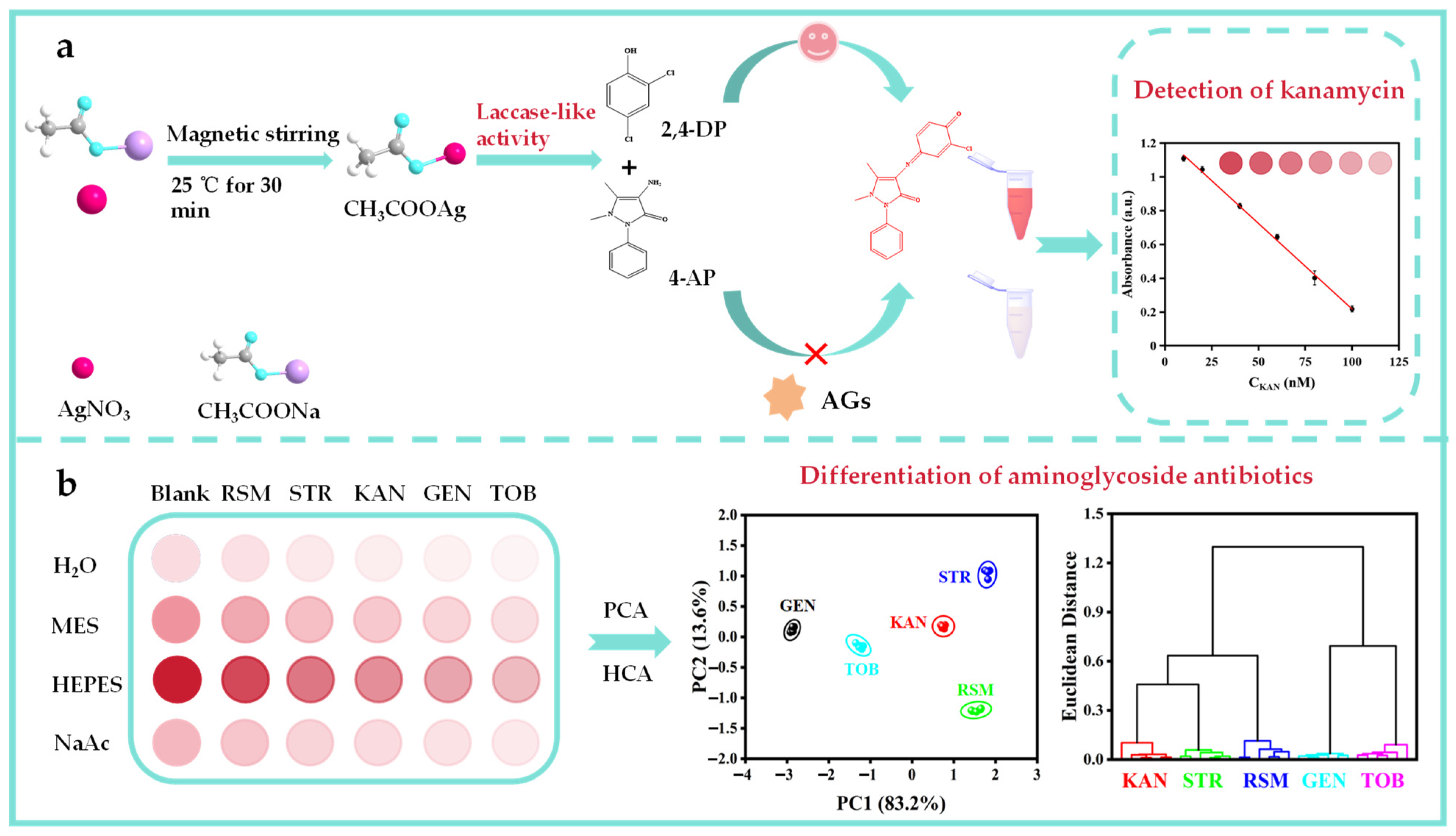 Biosensors 15 00570 g001 Biosensors 15 00570 g001