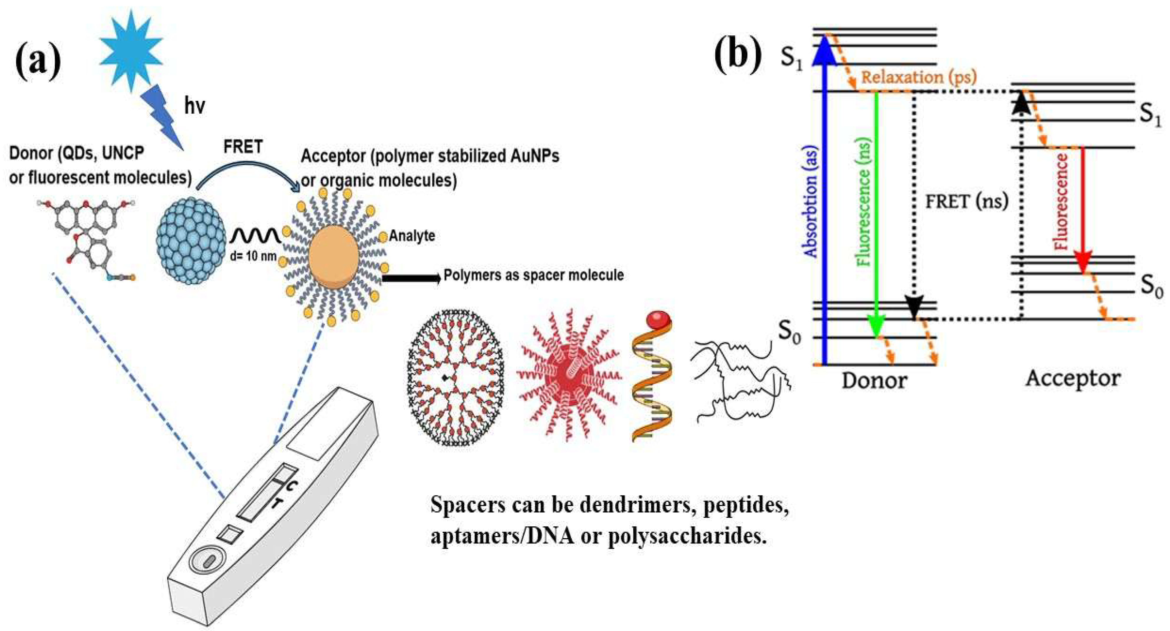 Biosensors 15 00593 g001 Biosensors 15 00593 g001