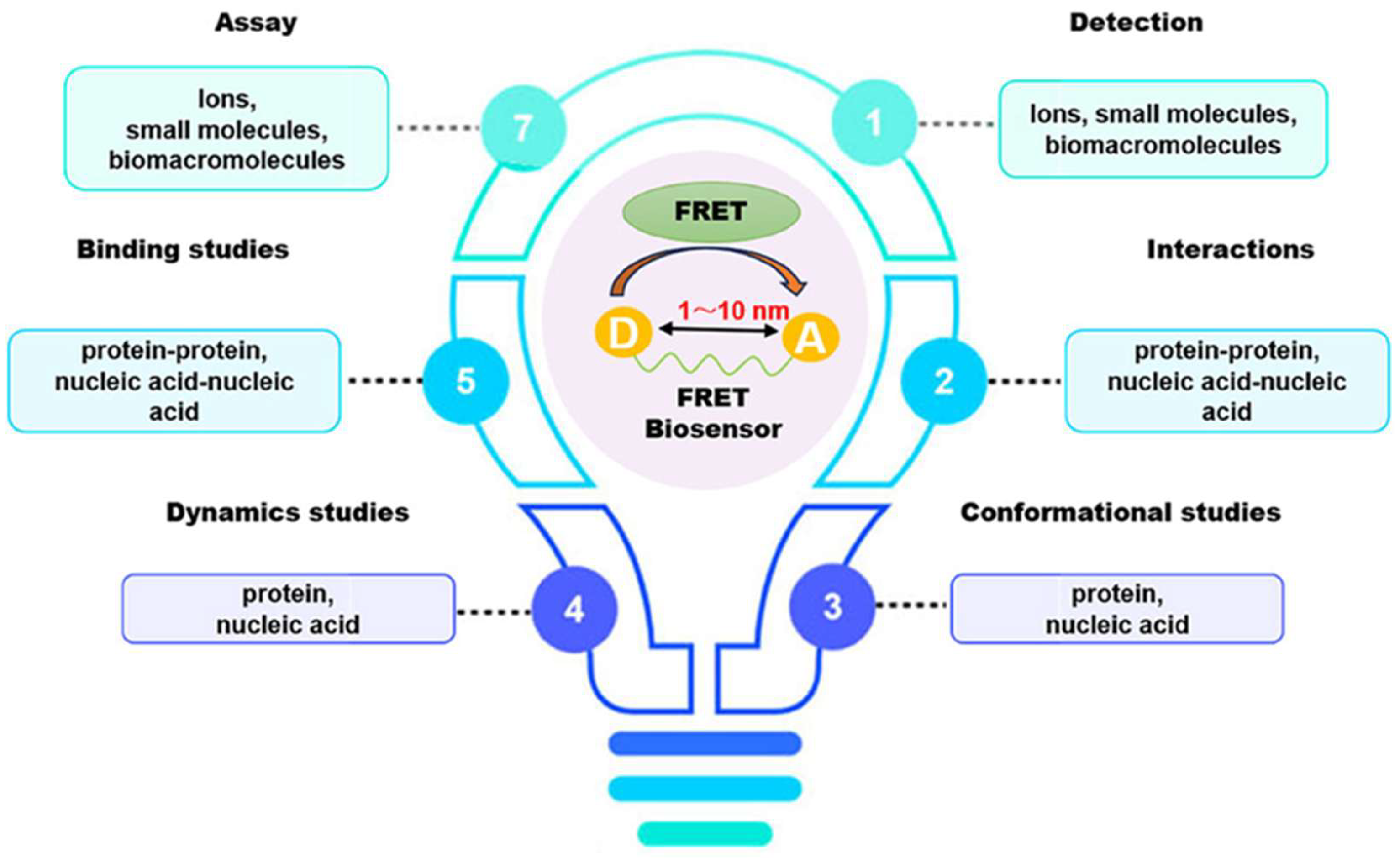 Biosensors 15 00593 g003 Biosensors 15 00593 g003