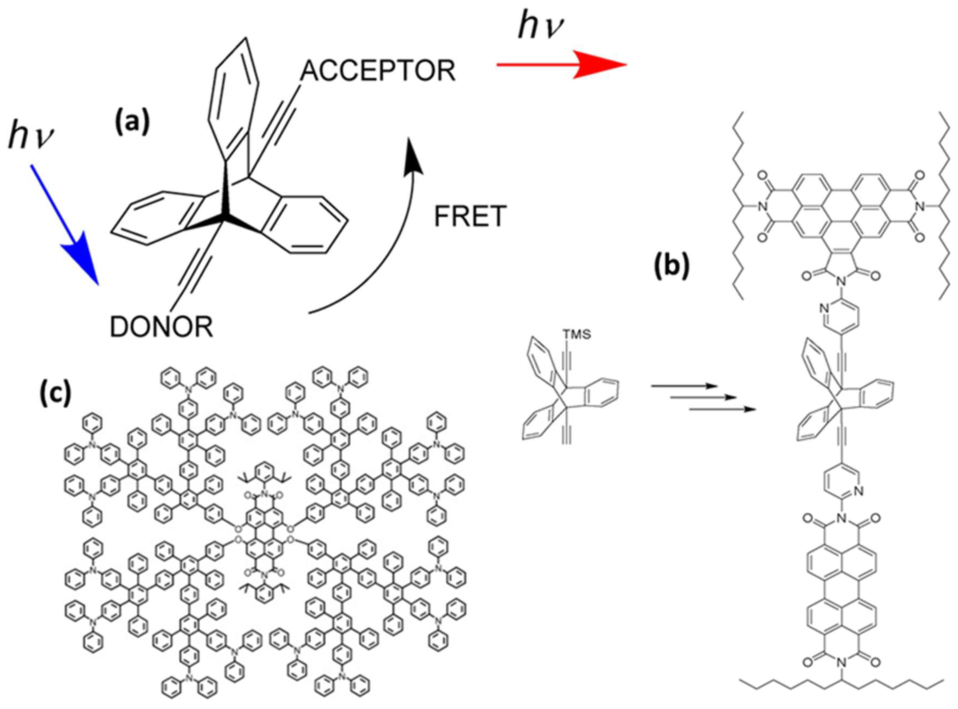 Biosensors 15 00593 g004 Biosensors 15 00593 g004