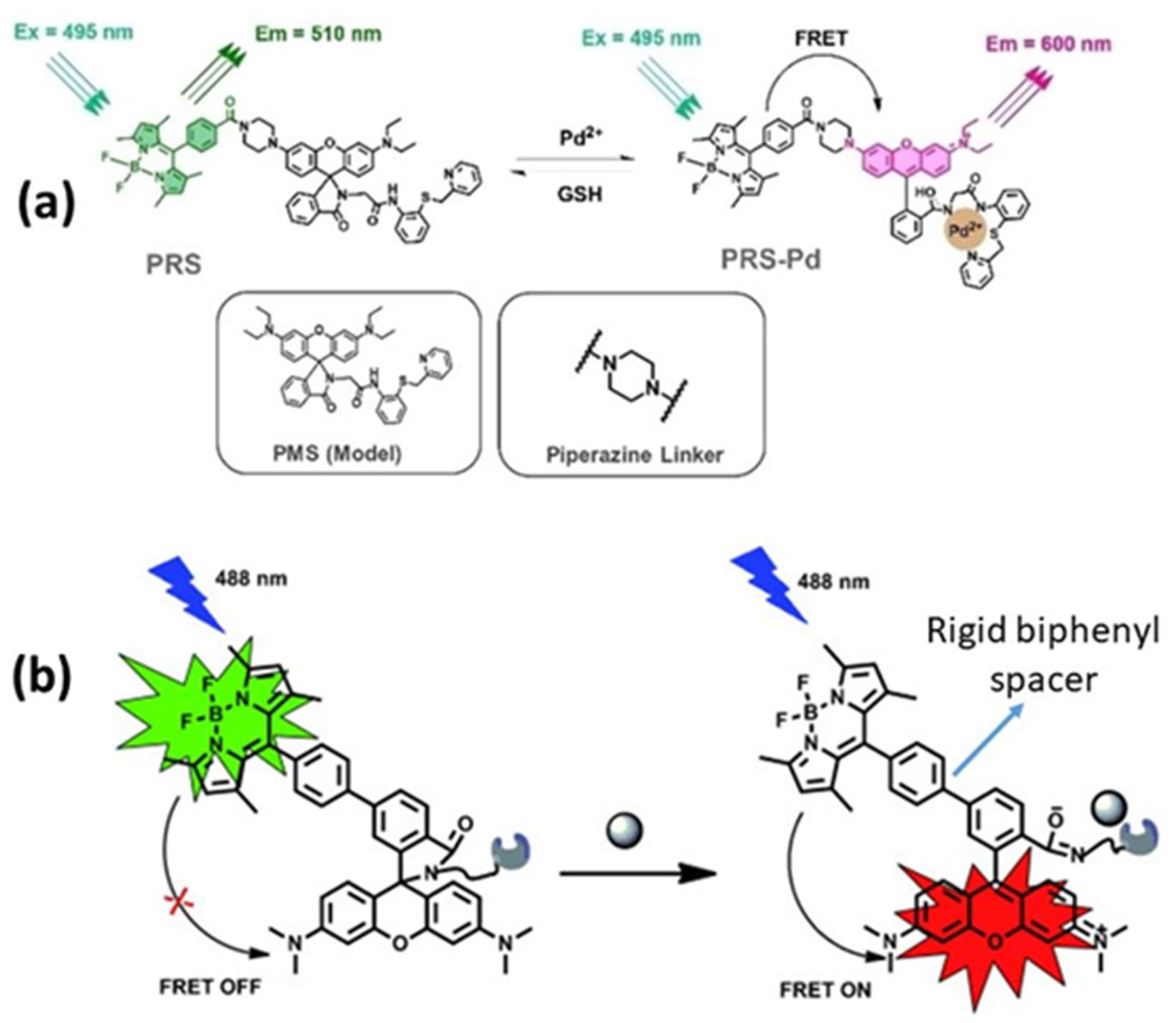 Biosensors 15 00593 g005 Biosensors 15 00593 g005