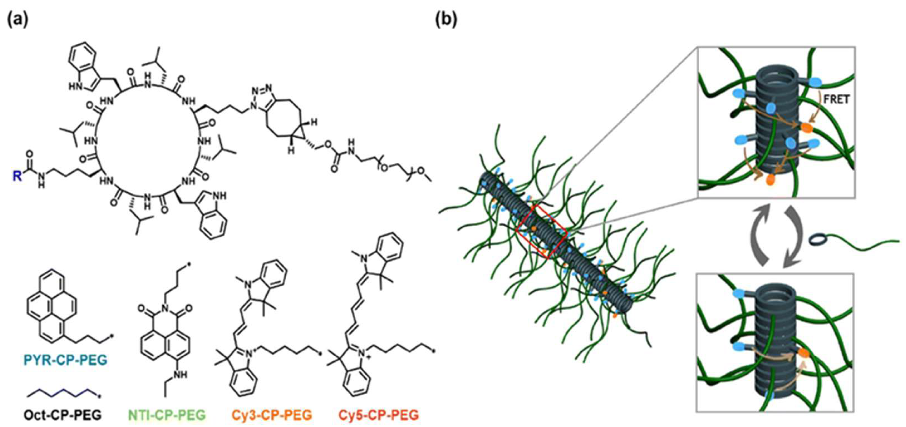 Biosensors 15 00593 g006 Biosensors 15 00593 g006