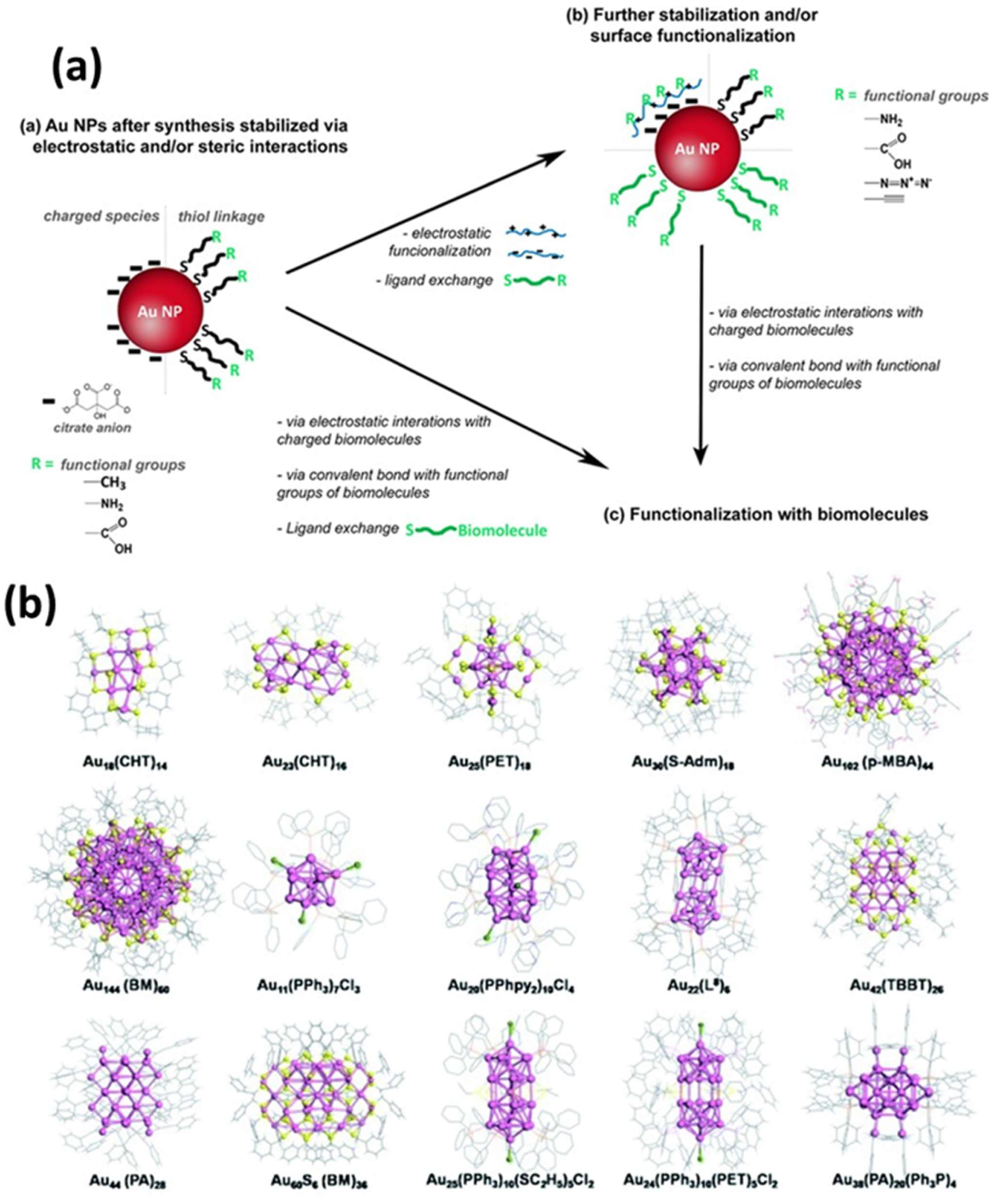 Biosensors 15 00593 g007 Biosensors 15 00593 g007
