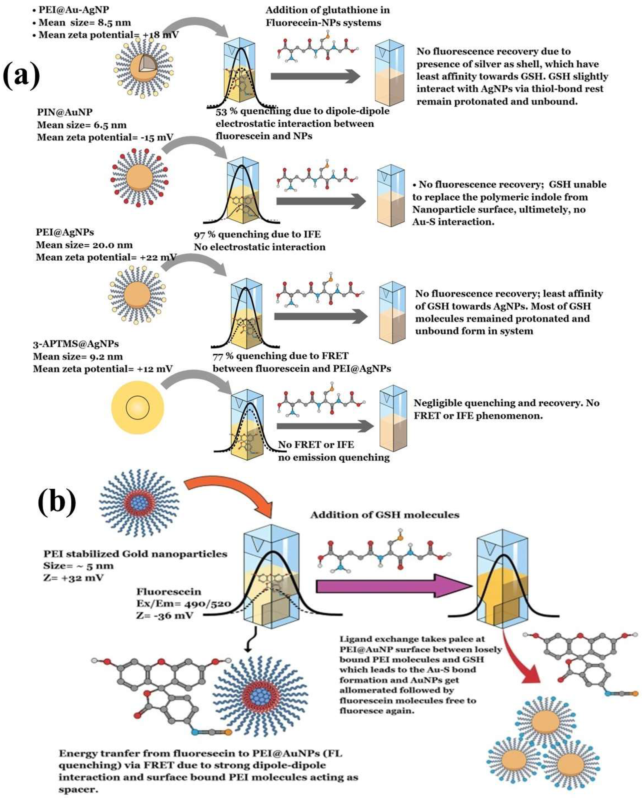 Biosensors 15 00593 g010 Biosensors 15 00593 g010