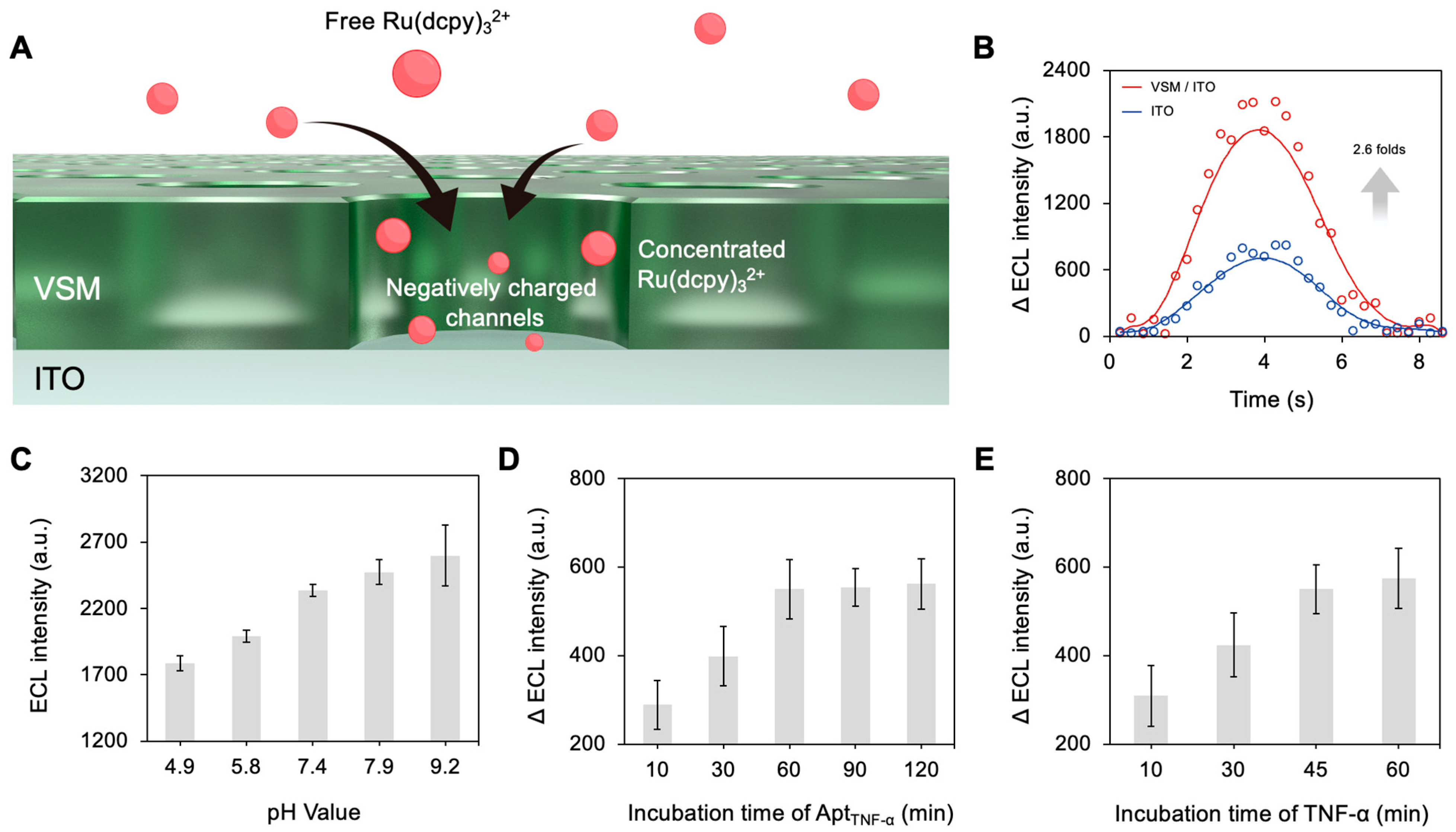 Biosensors 15 00645 g004 Biosensors 15 00645 g004