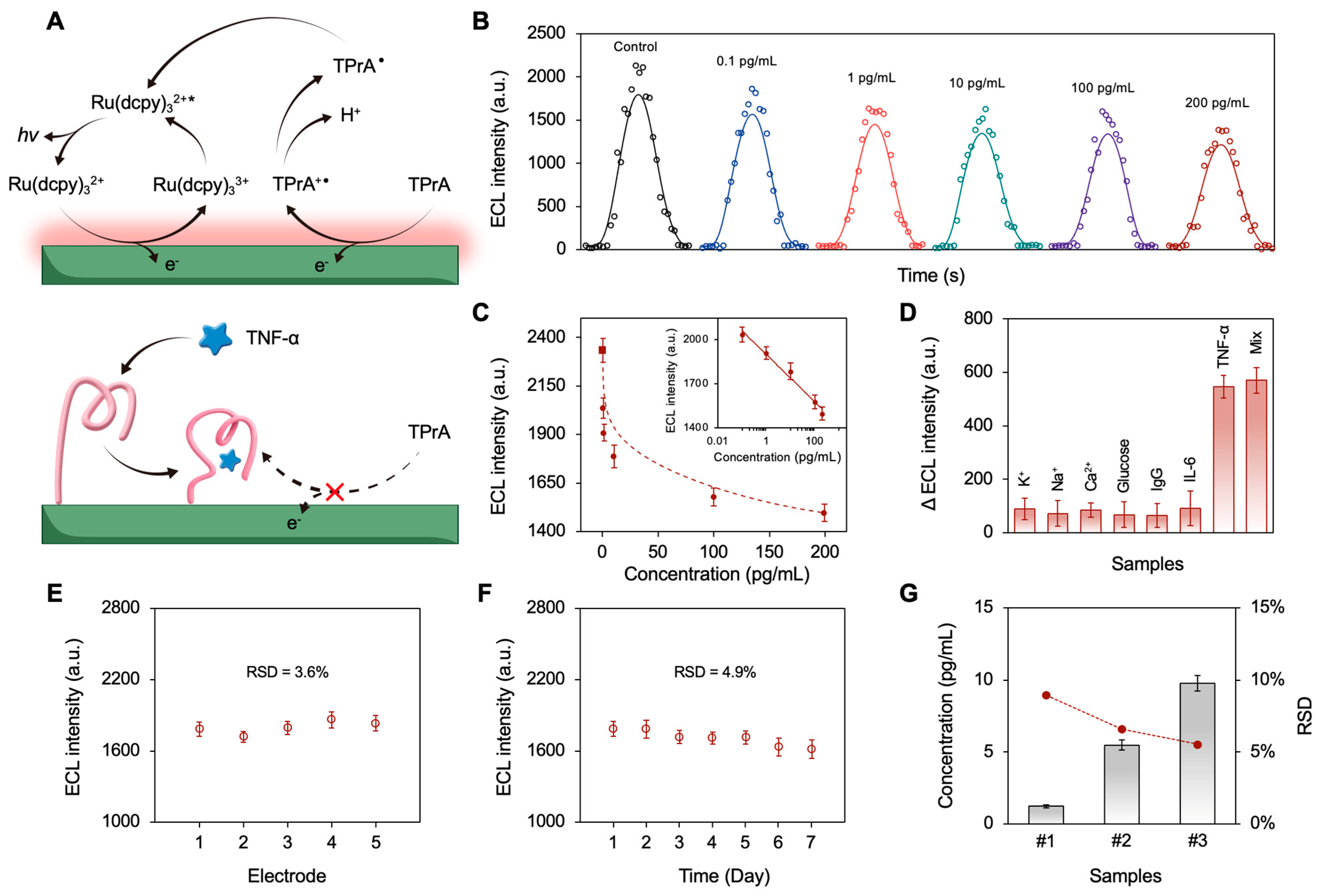 Biosensors 15 00645 g005 Biosensors 15 00645 g005