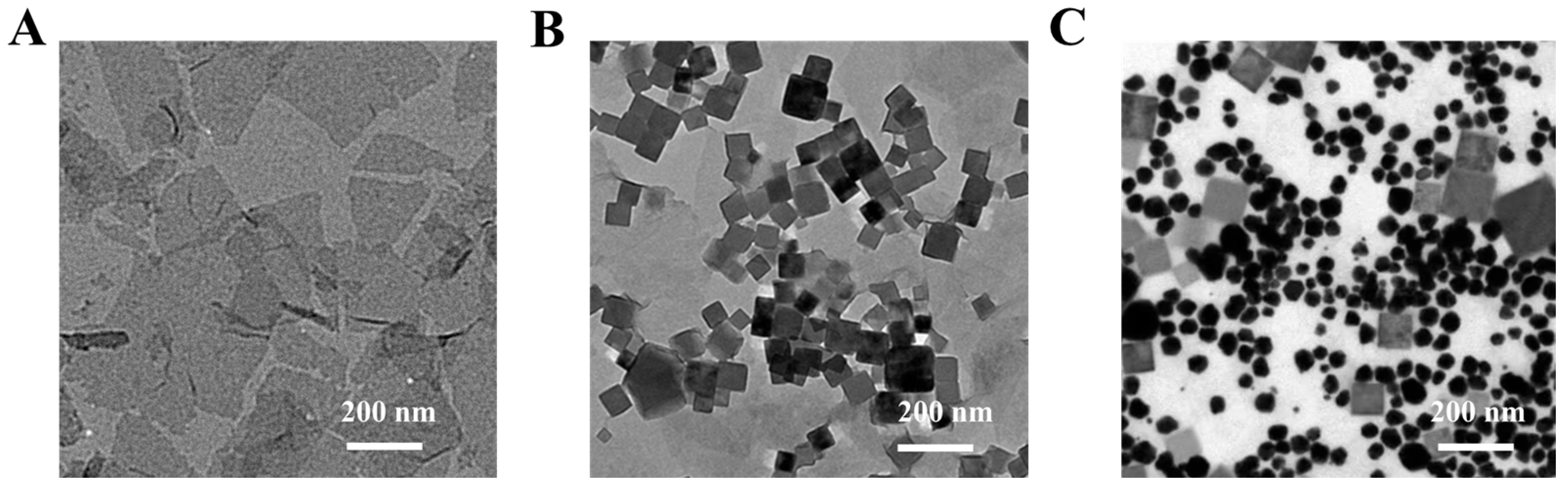 Biosensors 15 00651 g001 Biosensors 15 00651 g001