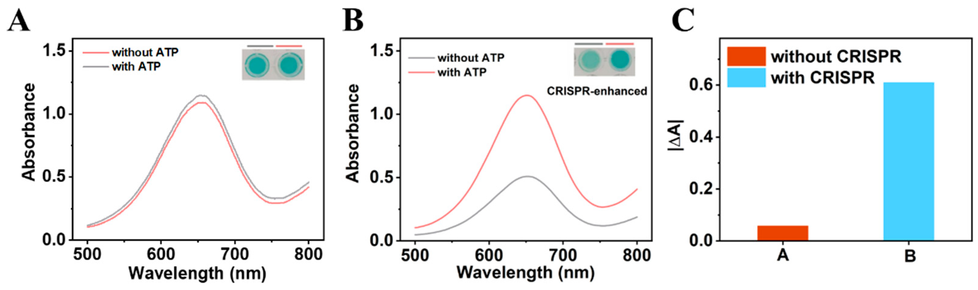 Biosensors 15 00651 g003 Biosensors 15 00651 g003