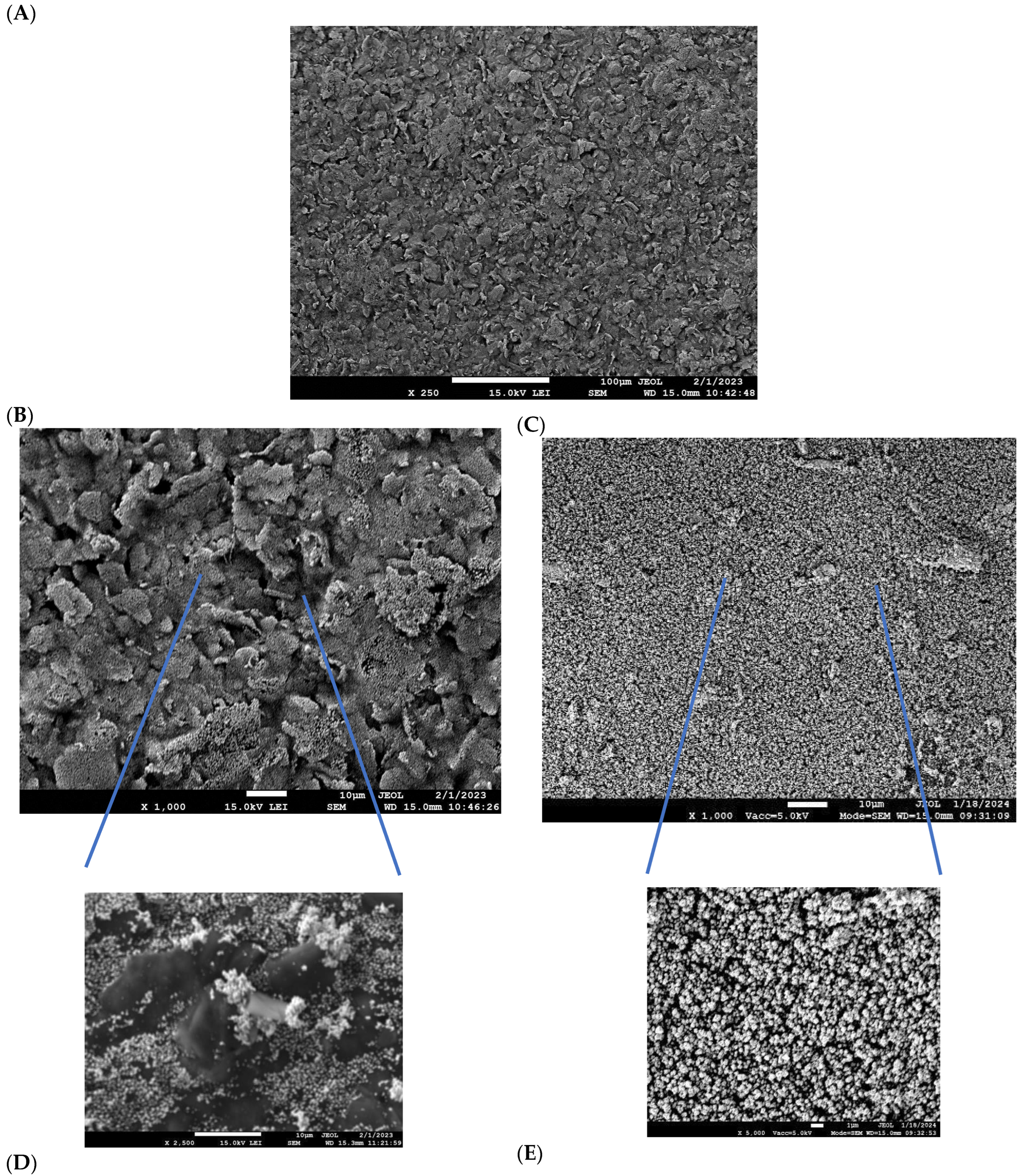Biosensors 15 00665 g004 Biosensors 15 00665 g004