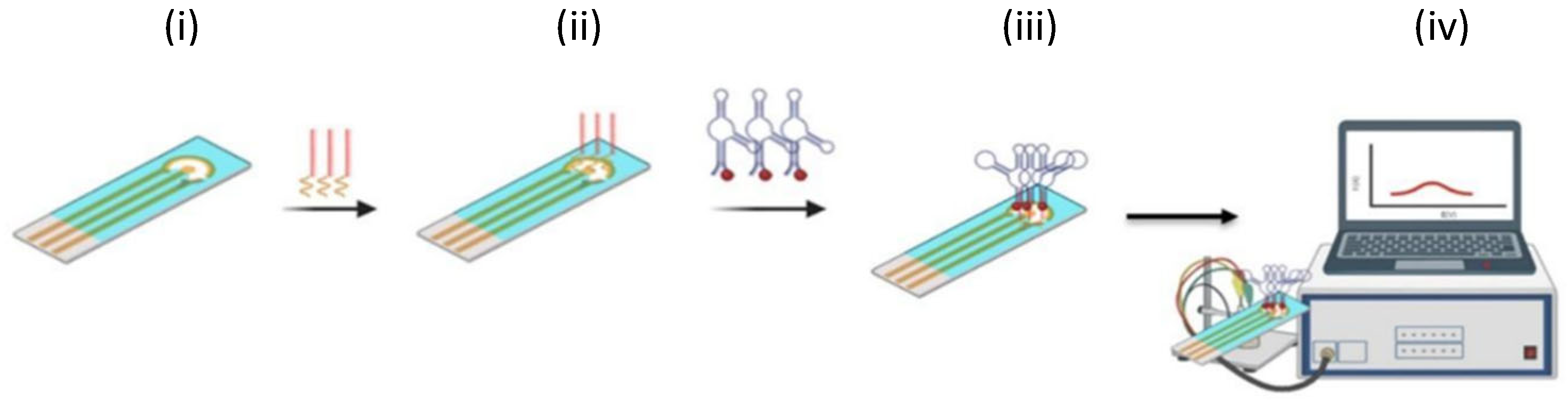 Biosensors 15 00665 sch001 Biosensors 15 00665 sch001