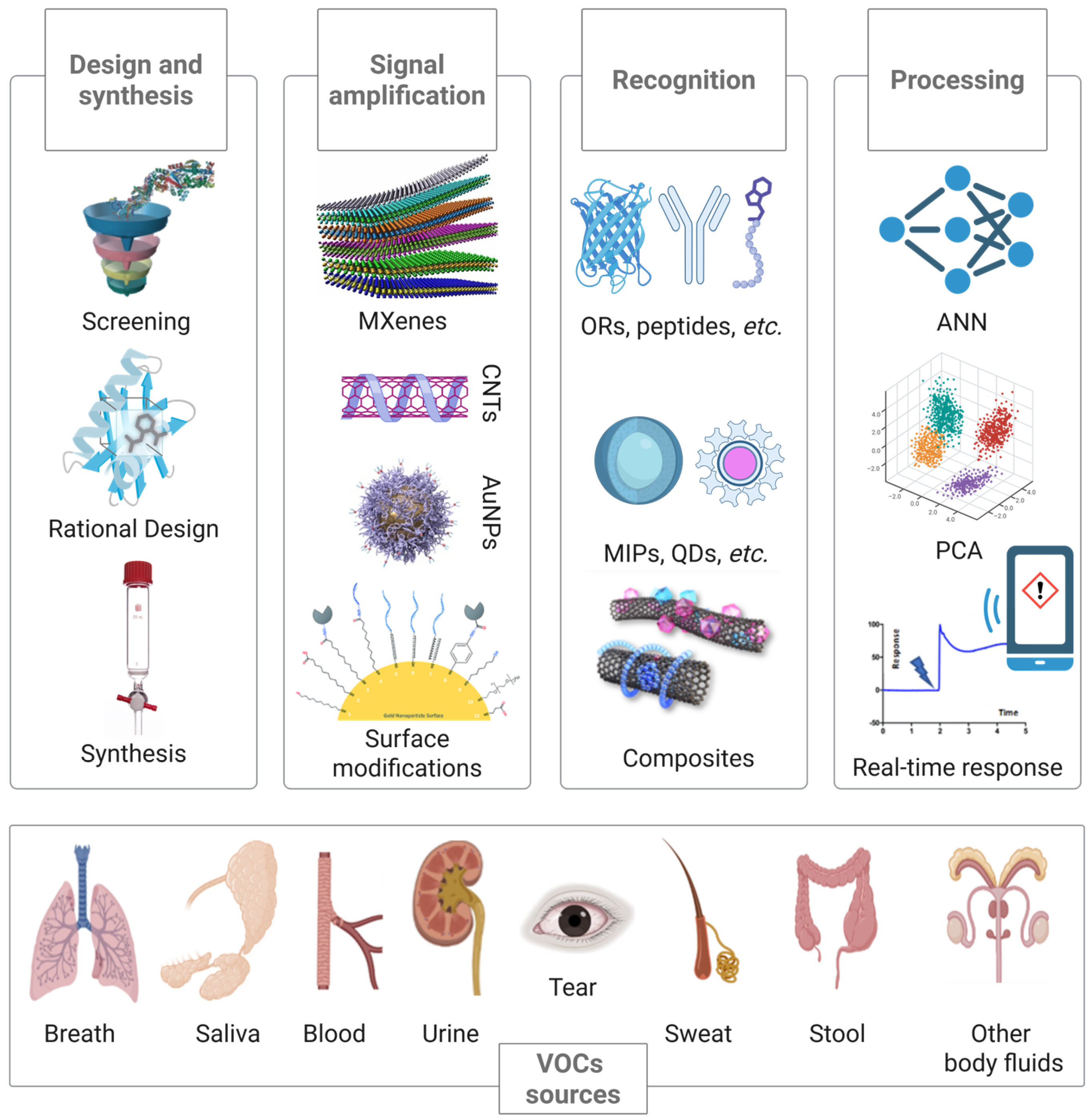 Biosensors 15 00668 g002 Biosensors 15 00668 g002