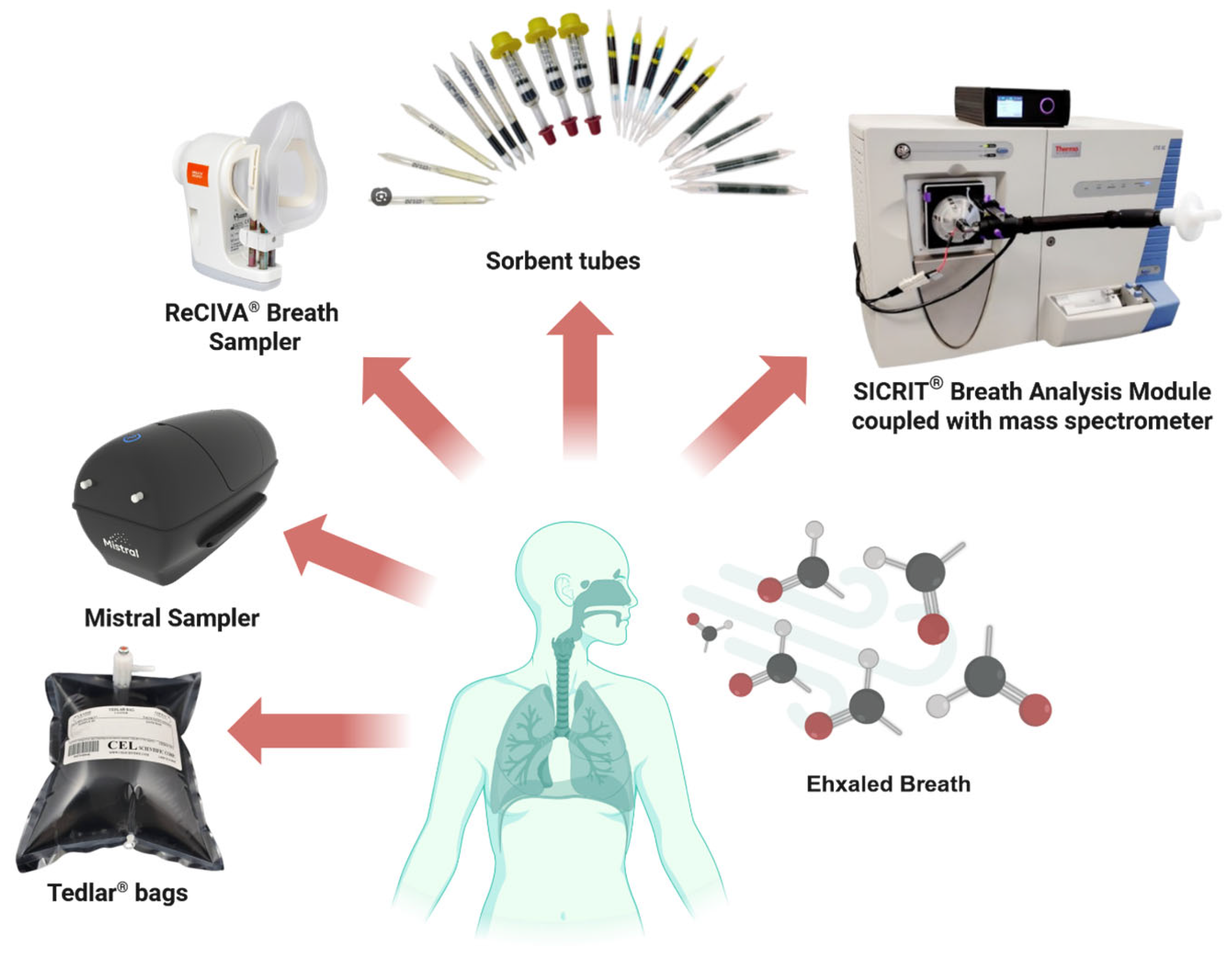 Biosensors 15 00668 g003 Biosensors 15 00668 g003