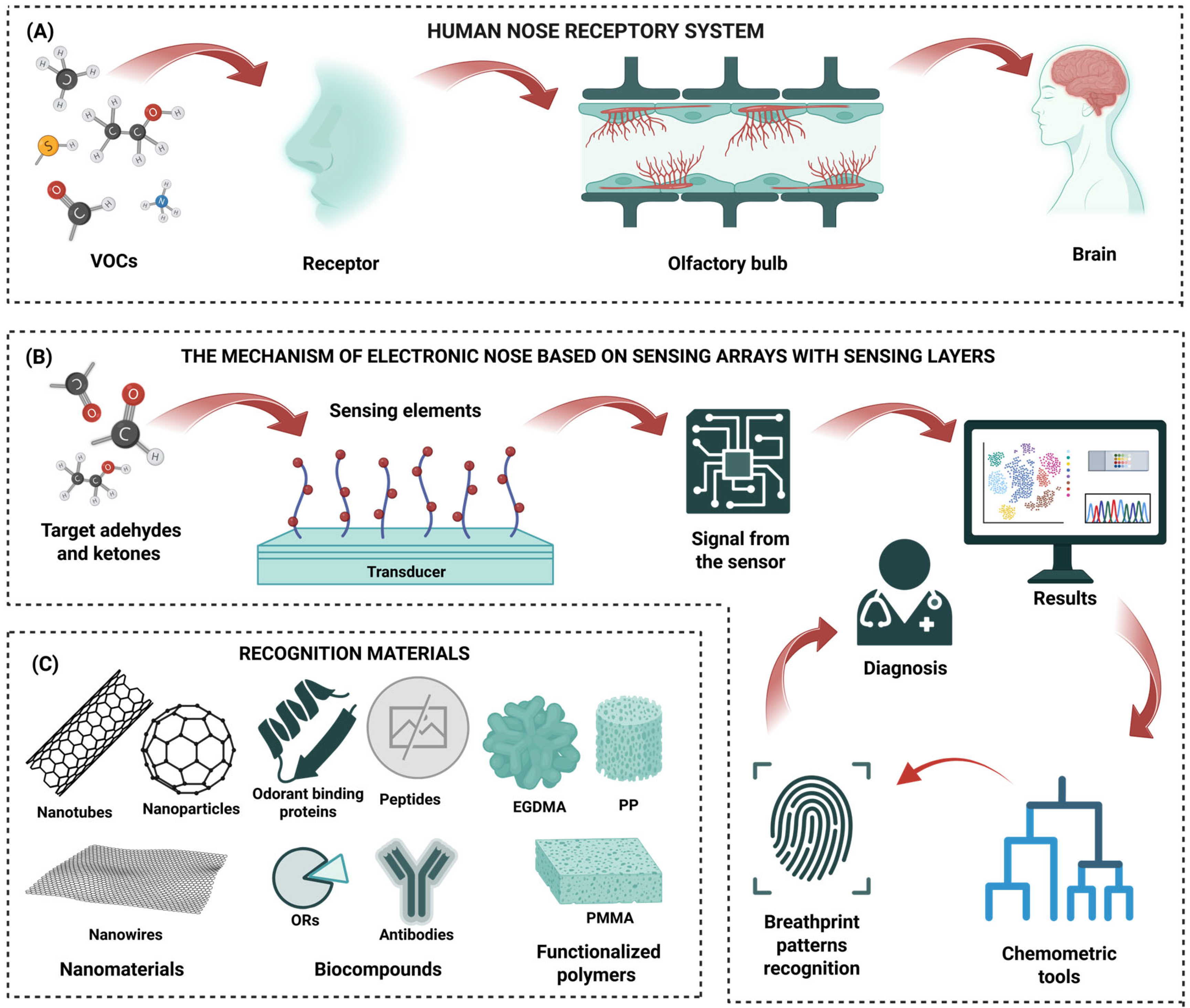 Biosensors 15 00668 g004 Biosensors 15 00668 g004
