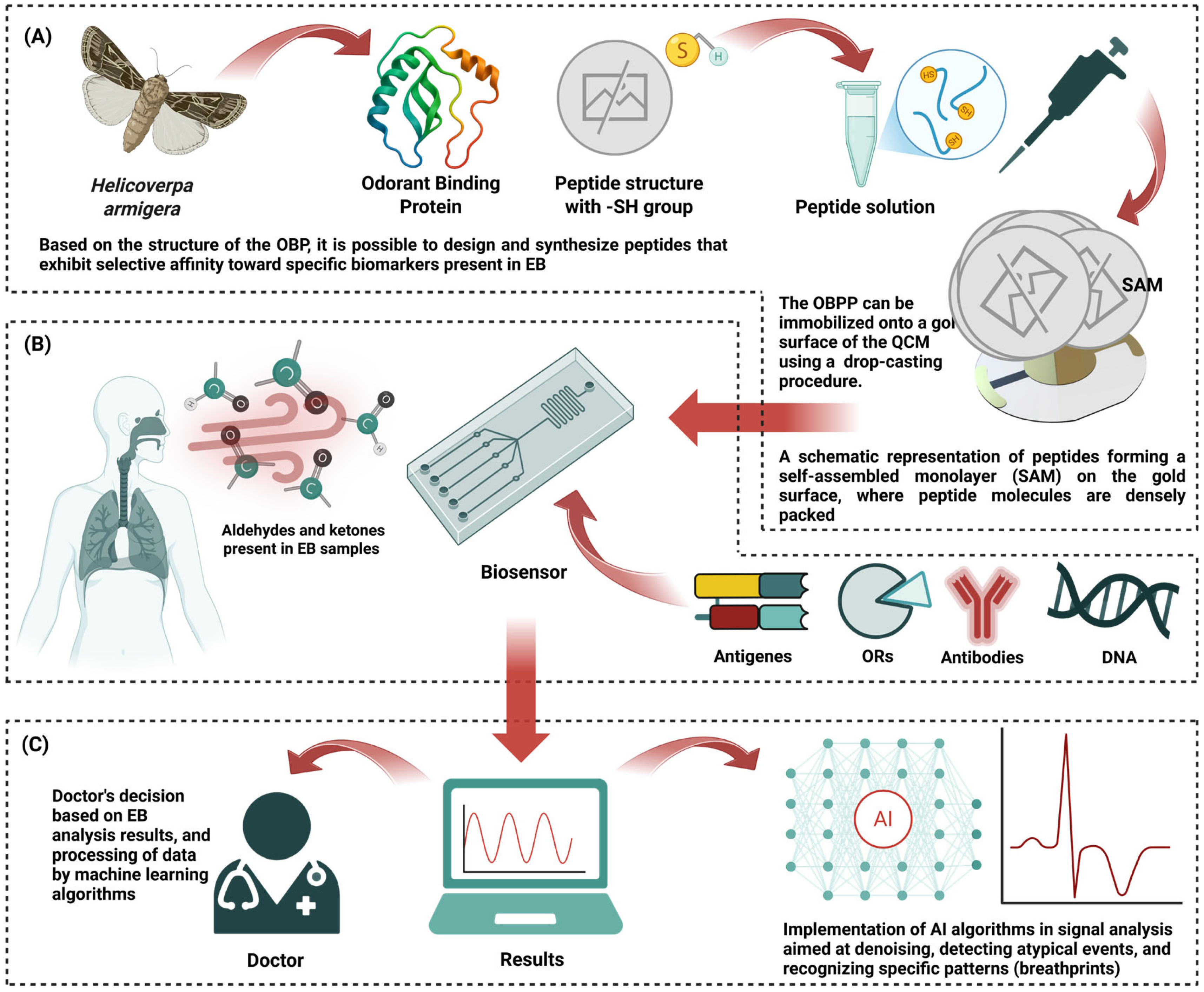 Biosensors 15 00668 g005 Biosensors 15 00668 g005