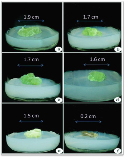 BioTech | Free Full-Text | Impact of Ethyl Methane Sulphonate